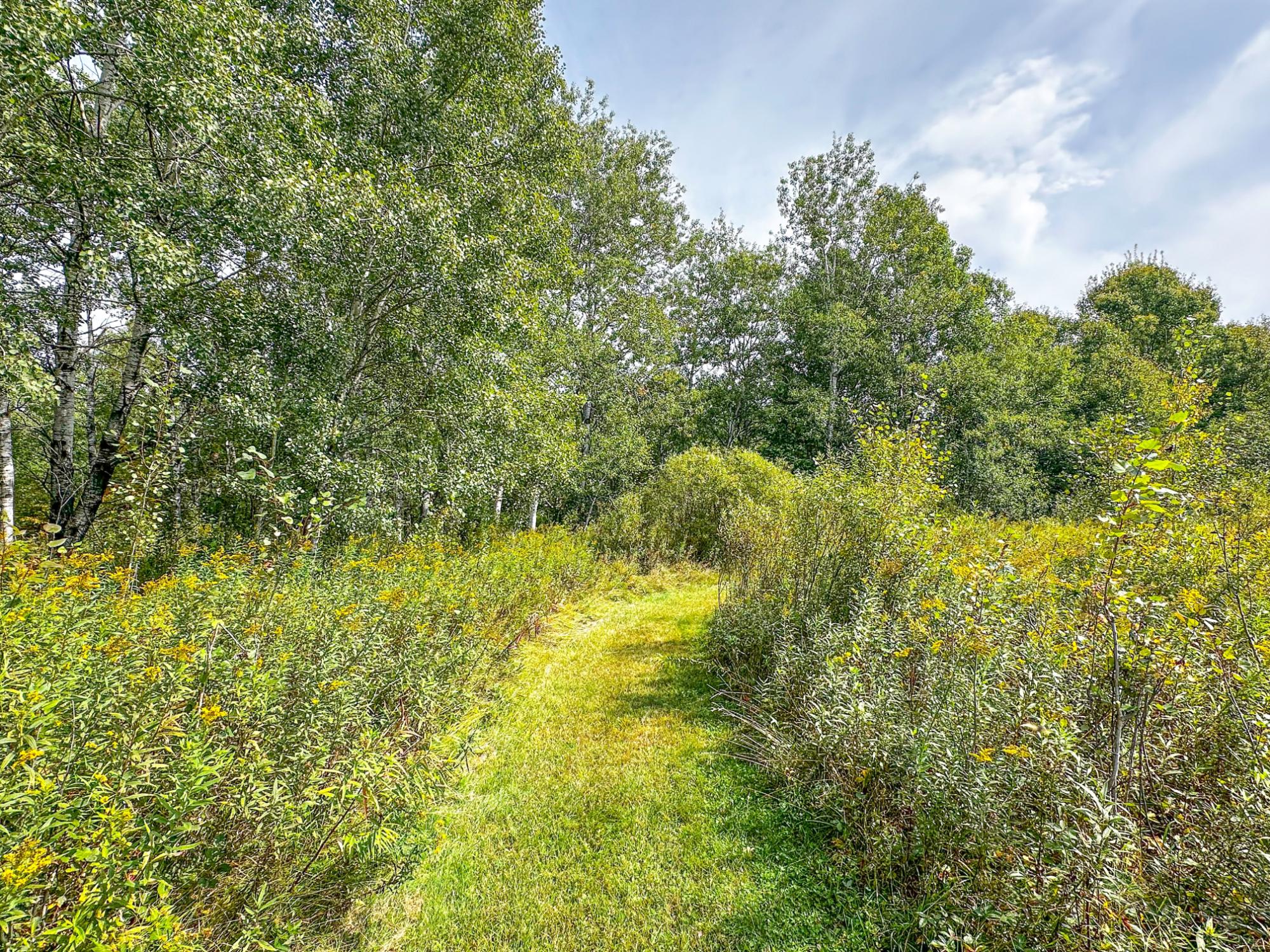N5560 Rusk Road Hawkins, WI 54530 - Photo 37 of 51 Gallery Image 37