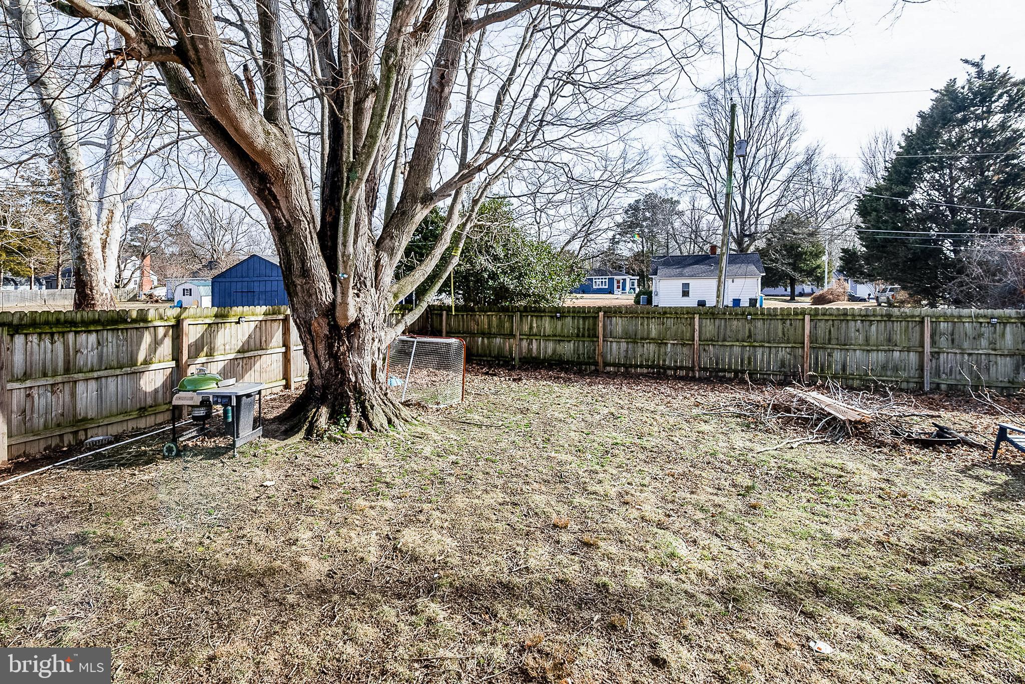 29510 Hawkes Hill Road Easton, MD 21601 - Photo 23 of 32 a view of backyard with tree