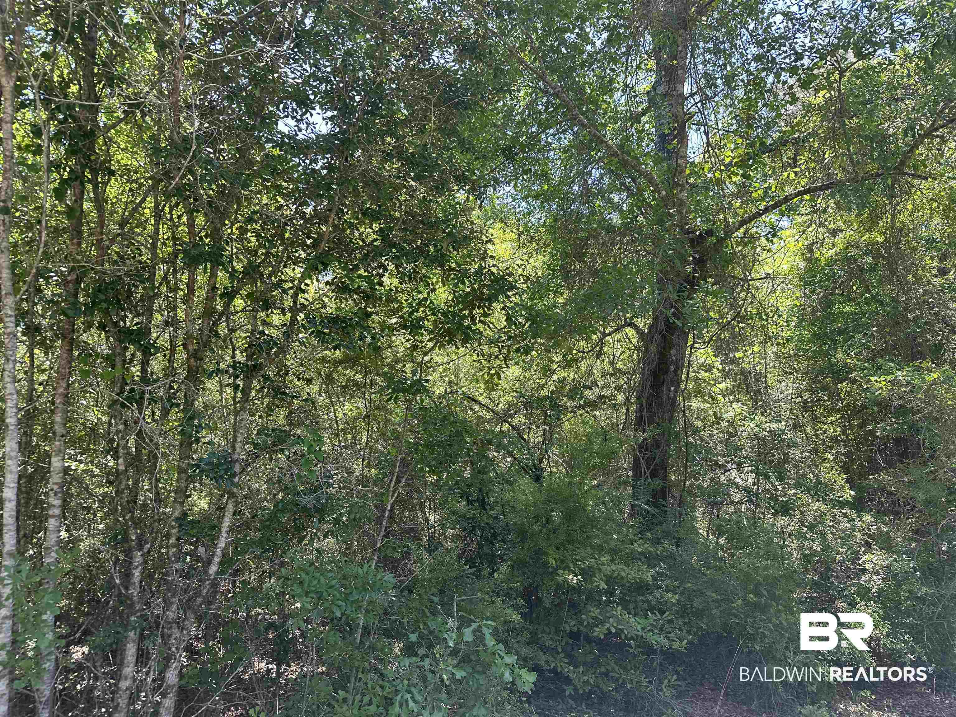 0 Rock Creek Road Wing, AL 36483 - Photo 7 of 17