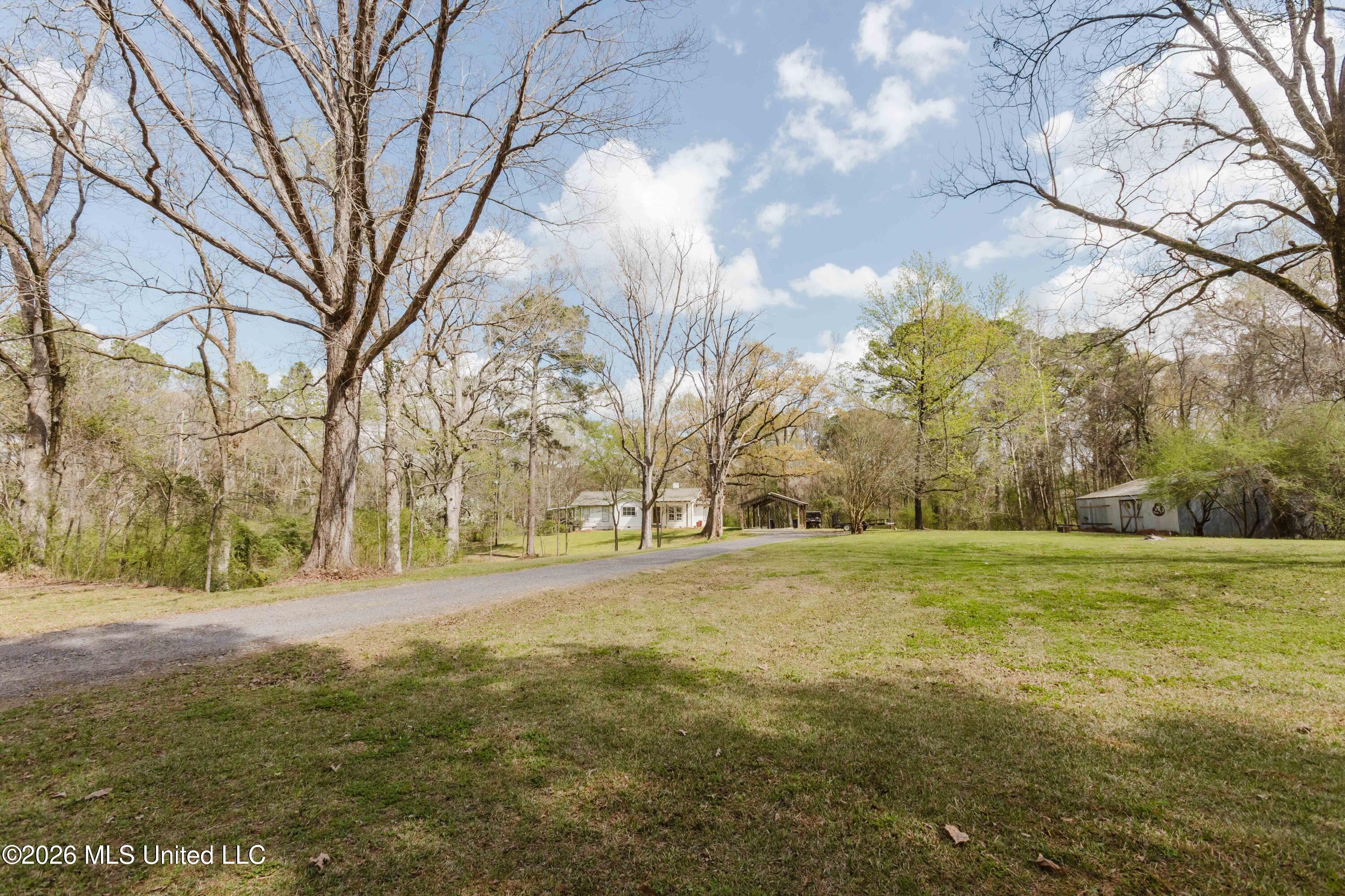 1758 Highway 471 Brandon, MS 39047 - Photo 16 of 52 watsonphotography260307144843