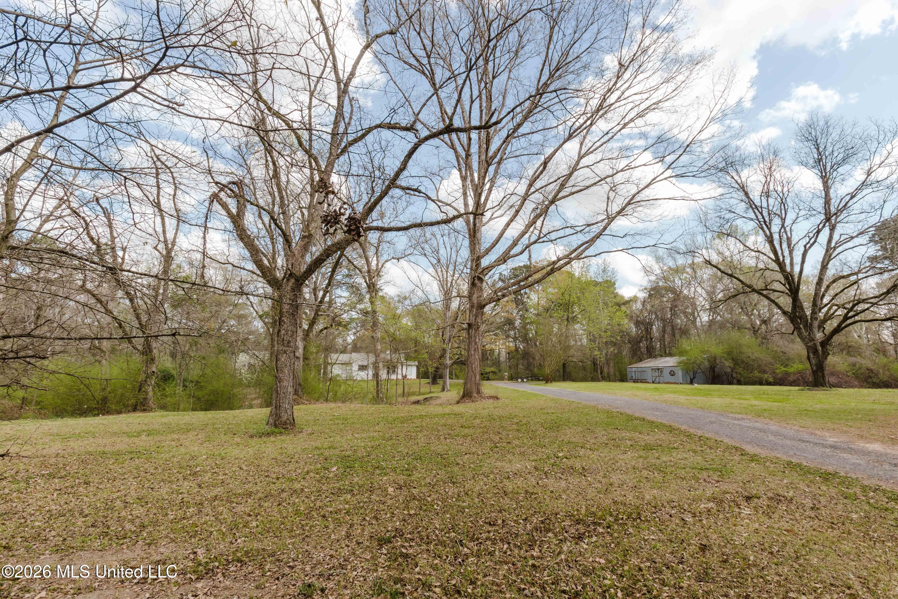 1758 Highway 471 Brandon, MS 39047 - Photo 17 of 52 watsonphotography260307145753
