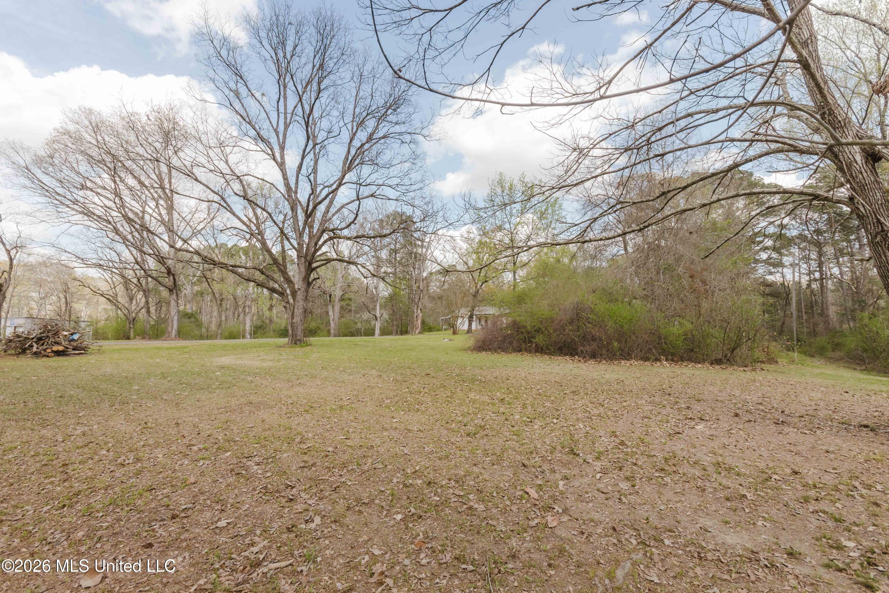 1758 Highway 471 Brandon, MS 39047 - Photo 18 of 52 watsonphotography260307145101