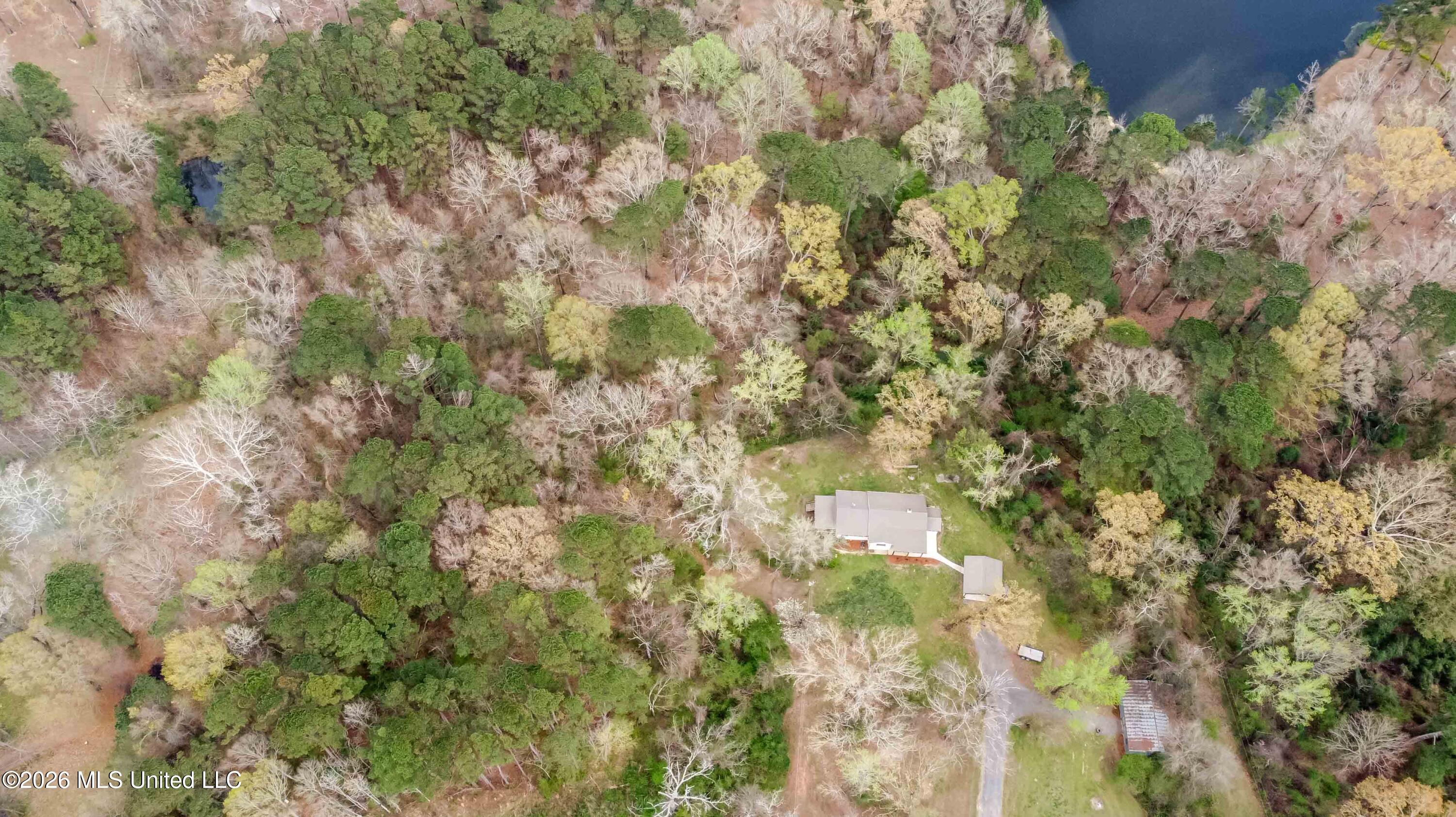 1758 Highway 471 Brandon, MS 39047 - Photo 43 of 52 watsonphotography260307141017