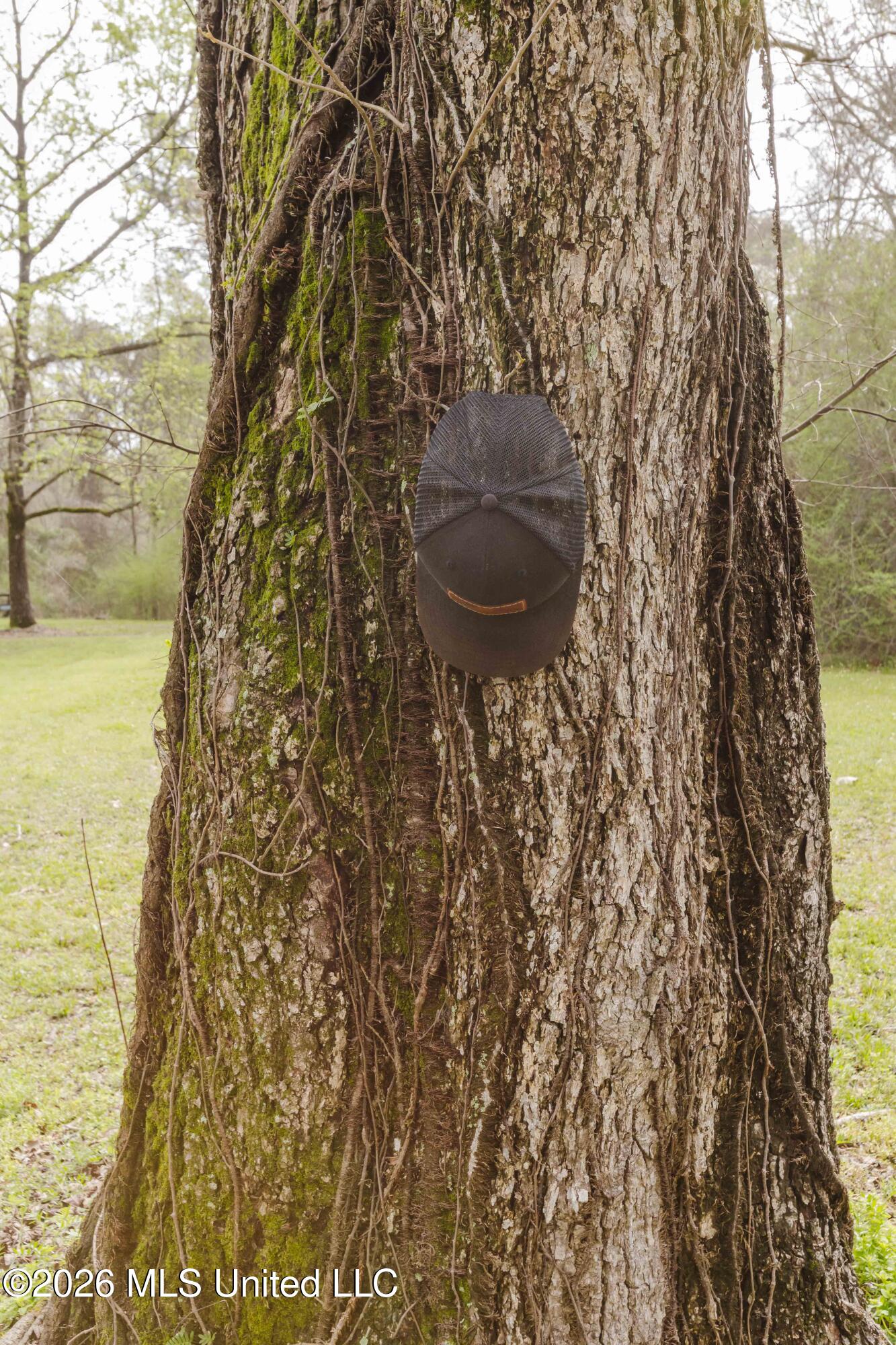 1758 Highway 471 Brandon, MS 39047 - Photo 47 of 52 watsonphotography260309111409