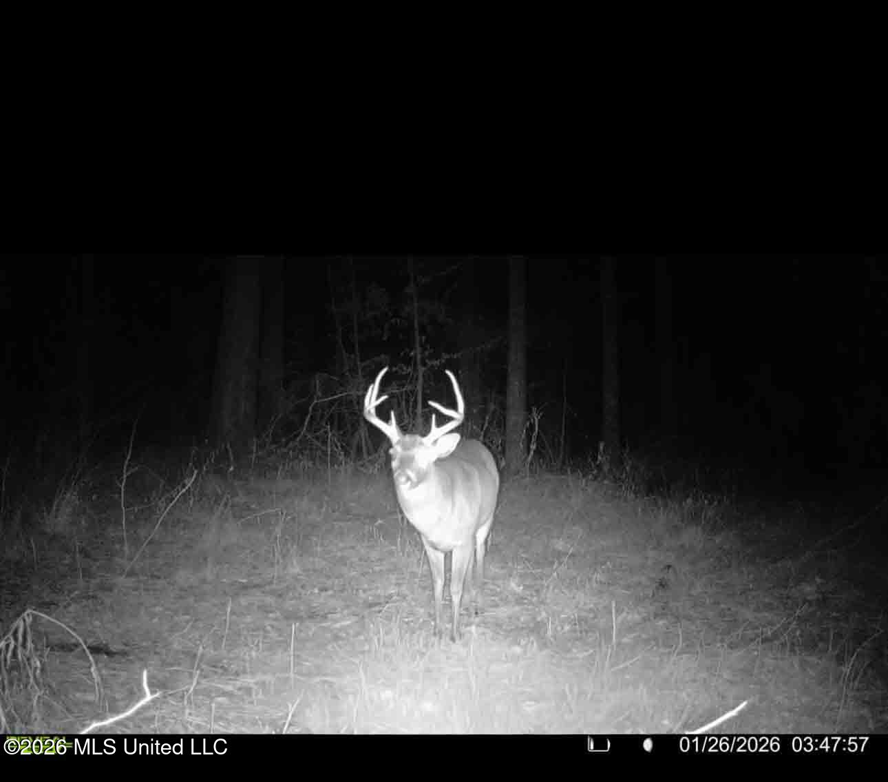 1758 Highway 471 Brandon, MS 39047 - Photo 49 of 52 watsonphotography260128055401