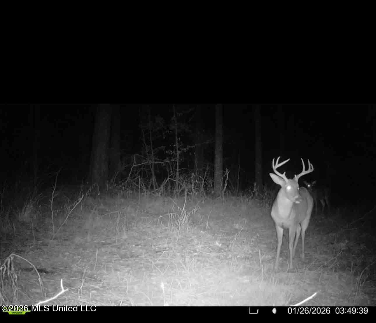 1758 Highway 471 Brandon, MS 39047 - Photo 50 of 52 watsonphotography260128055348