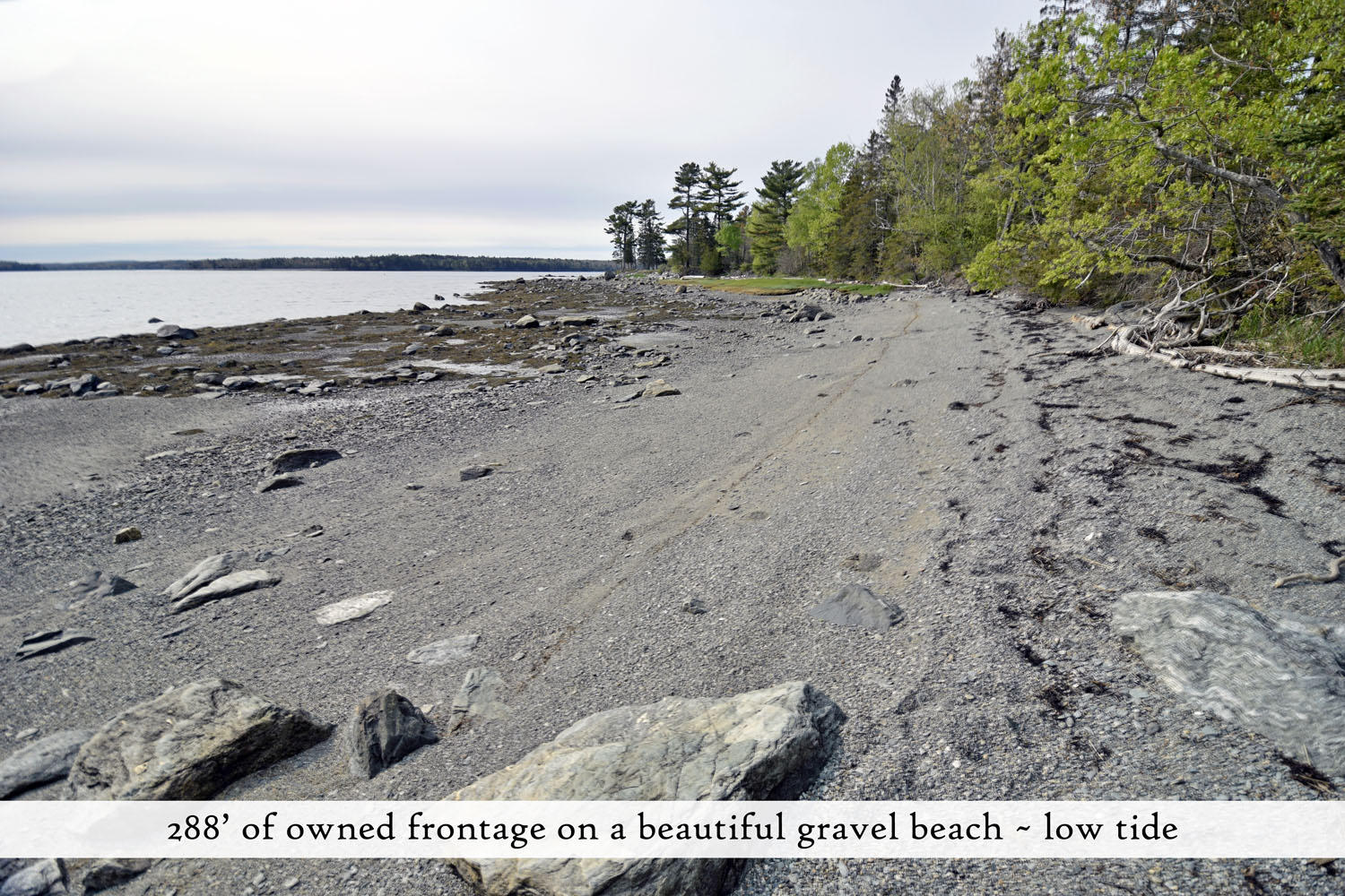 827 Bayside Road Ellsworth, ME 04605 - Photo 19 of 82 shore 9, label