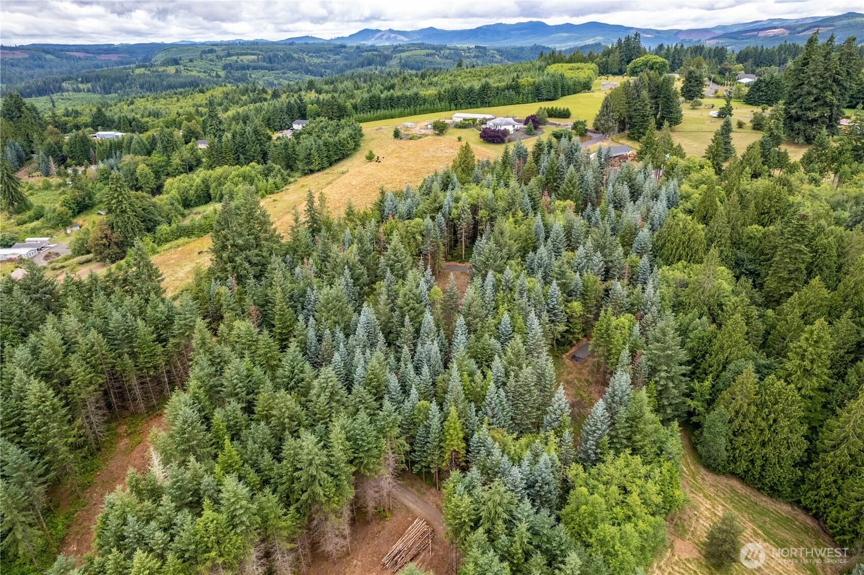 0 Bunker Hill Road, Unit B Longview, WA 98632 - Photo 12 of 13