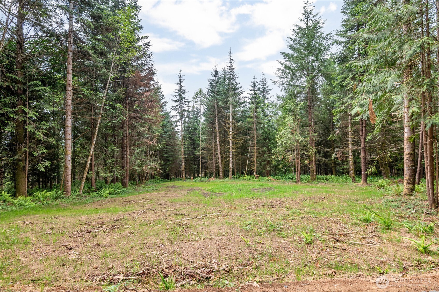 0 Bunker Hill Road, Unit B Longview, WA 98632 - Photo 4 of 13
