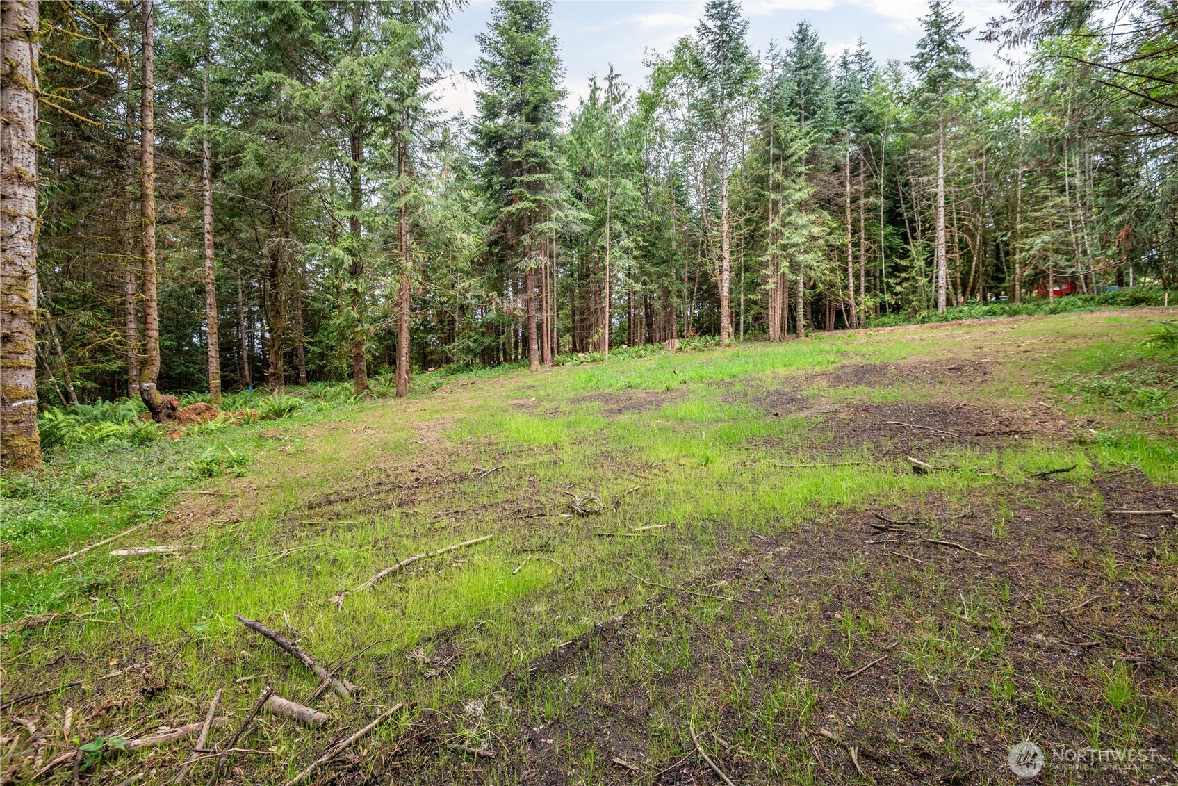 0 Bunker Hill Road, Unit B Longview, WA 98632 - Photo 6 of 13
