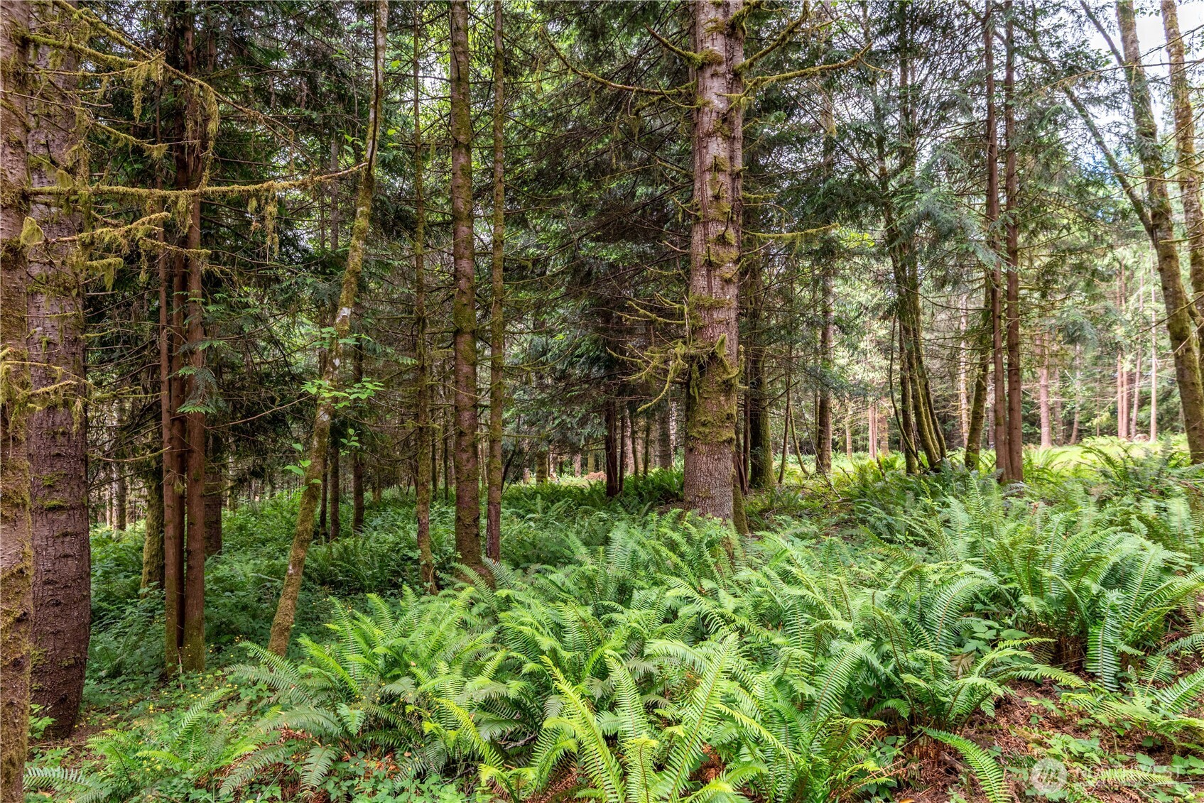 0 Bunker Hill Road, Unit B Longview, WA 98632 - Photo 8 of 13