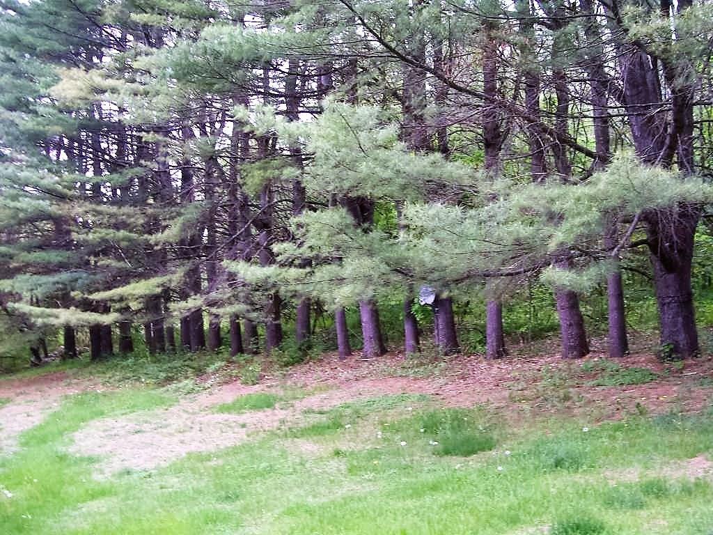 179 Stevens Road Skowhegan, ME 04976 - Photo 16 of 18 Photo