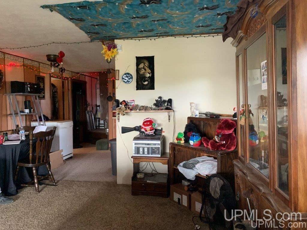 E3658 Laurich Road Trenary, MI 49891 - Photo 3 of 26 Gallery Image 3