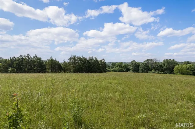 $985,000 | 0 Vineland School Road, De Soto, MO 63020