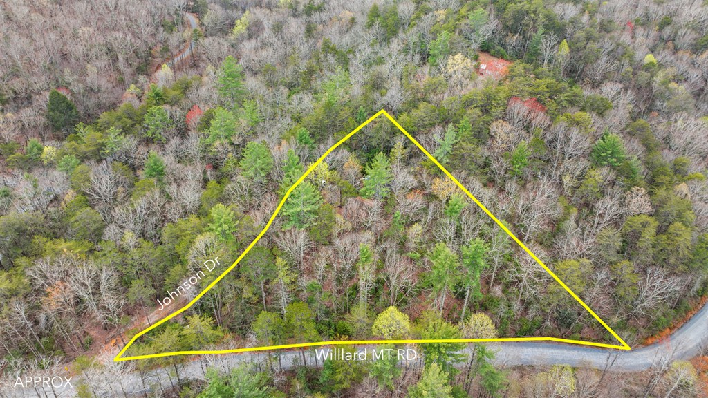 56 Johnson Drive Blue Ridge, GA 30513 - Photo 31 of 37 Gallery Image 31