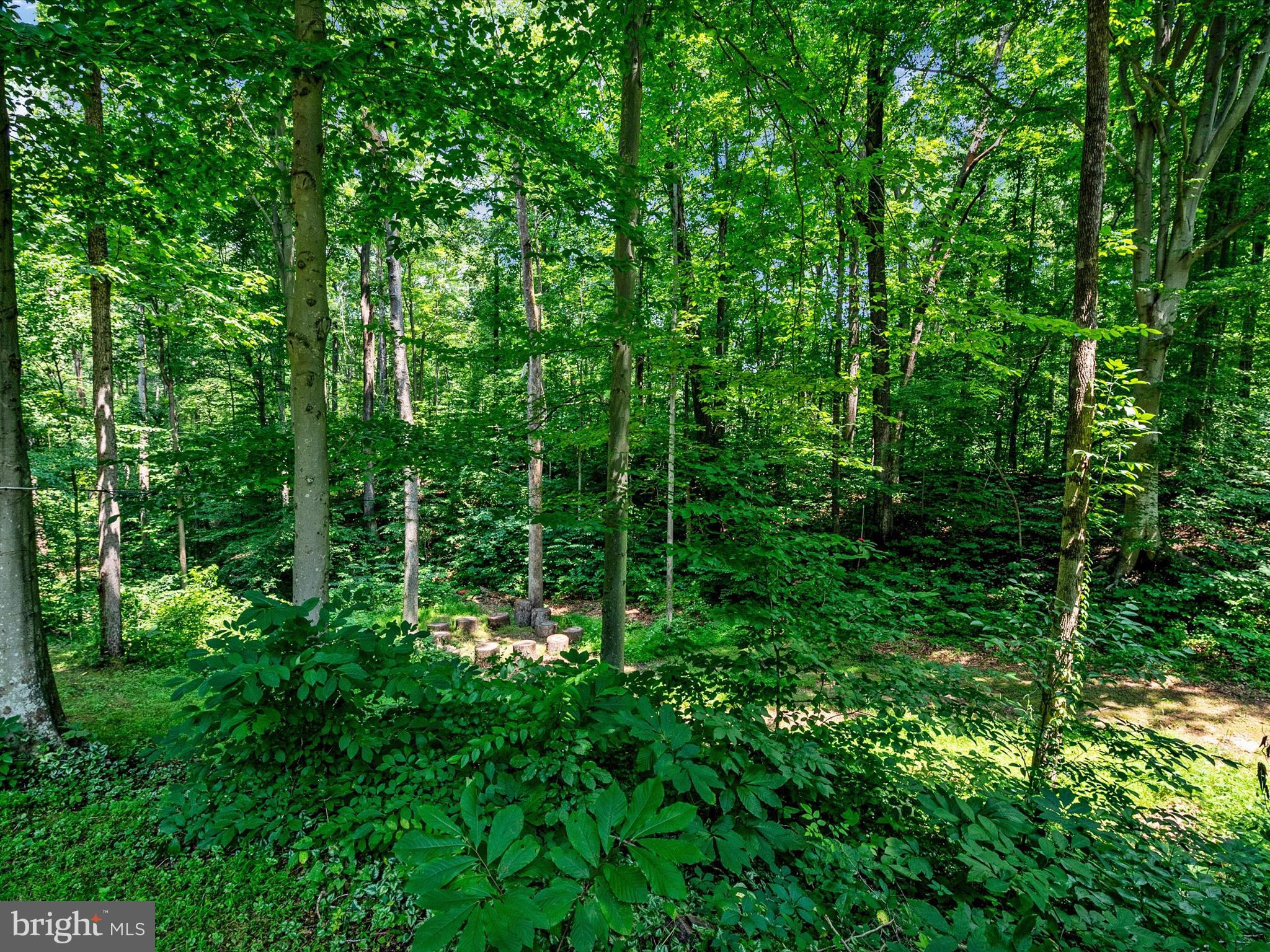 1148 Lake Ridge Drive Sunderland, MD 20689 - Photo 54 of 66 Gallery Image 54