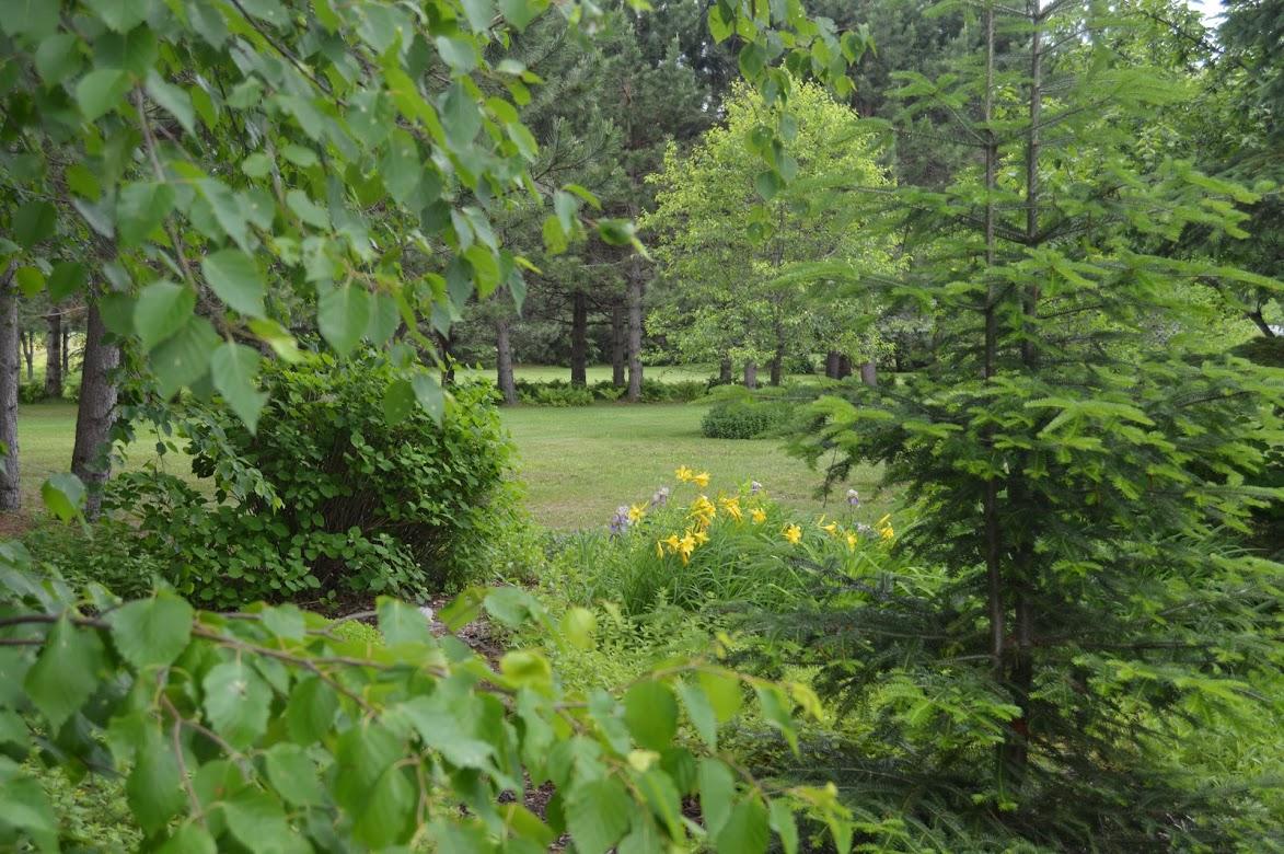 715 St John Road Fort Kent, ME 04743 - Photo 115 of 138 DSC_2311 (2)