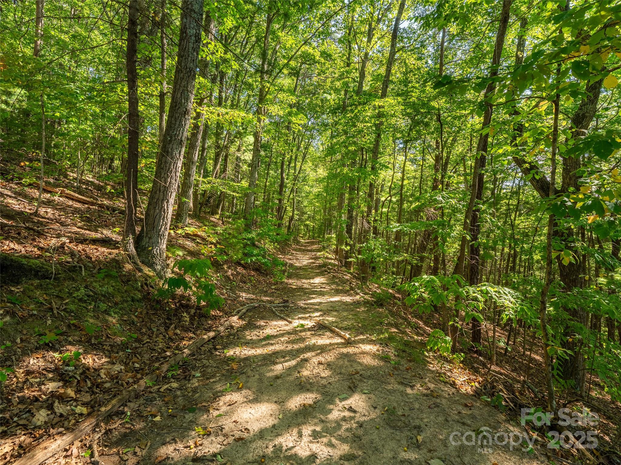 99999 Avondale Ridge Road Asheville, NC 28803 - Photo 11 of 15