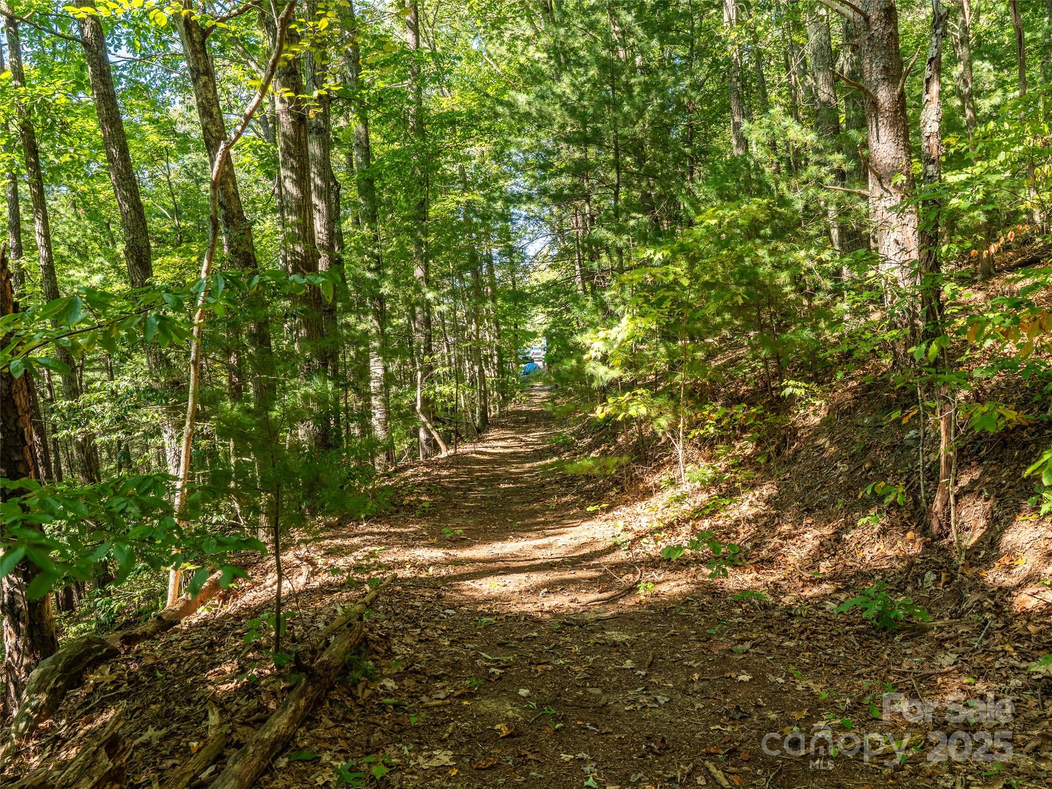 99999 Avondale Ridge Road Asheville, NC 28803 - Photo 12 of 15