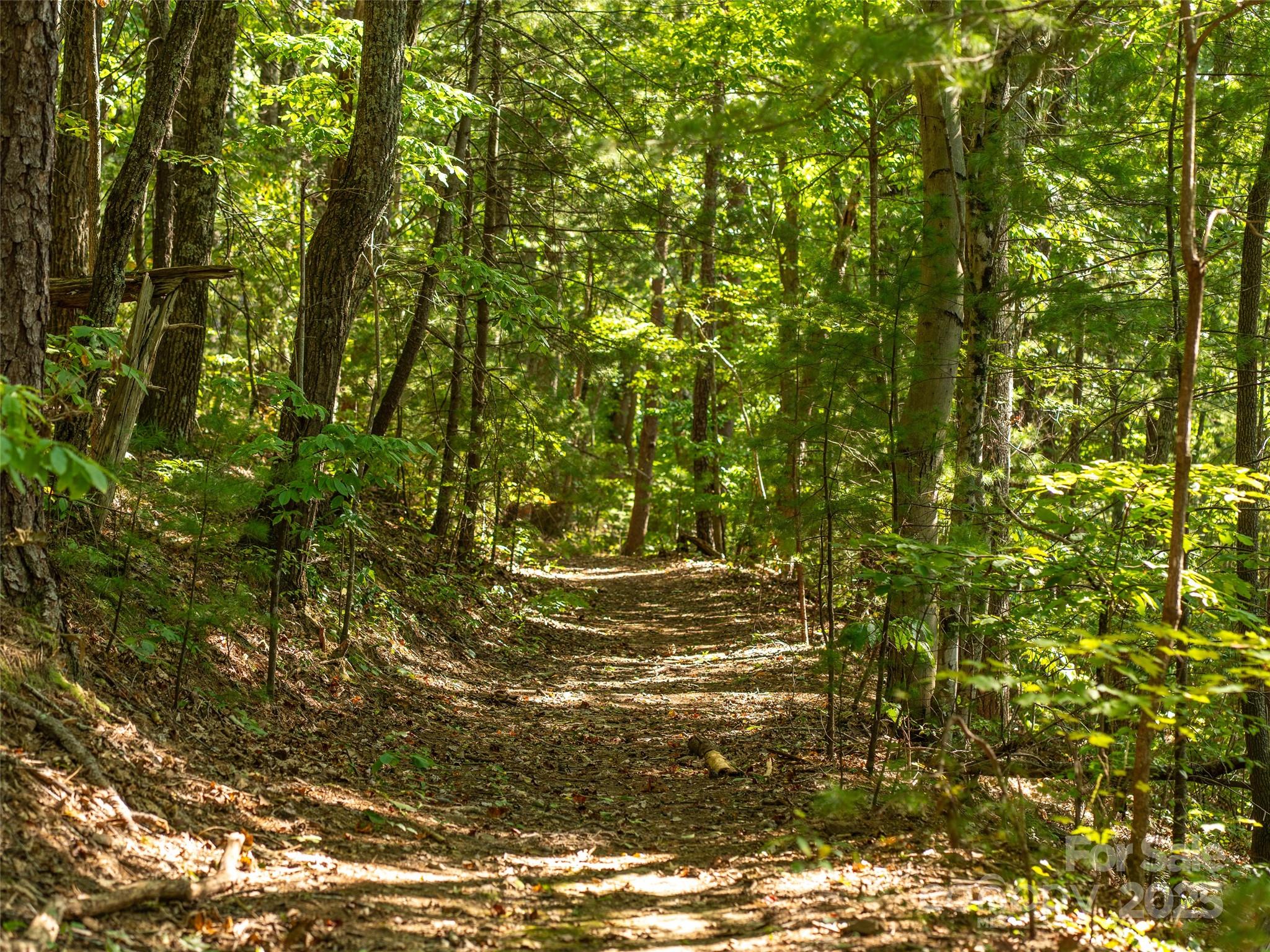 99999 Avondale Ridge Road Asheville, NC 28803 - Photo 13 of 15