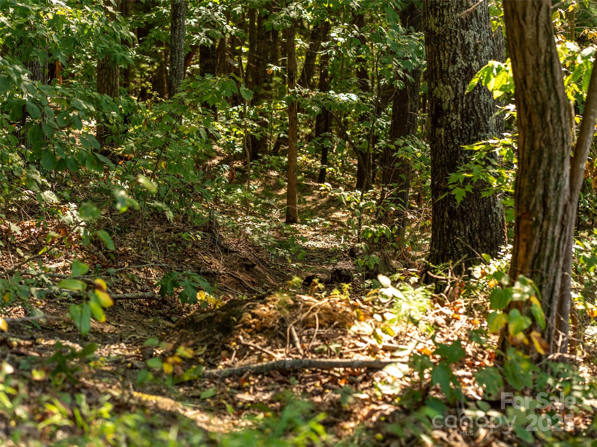 99999 Avondale Ridge Road Asheville, NC 28803 - Photo 14 of 15