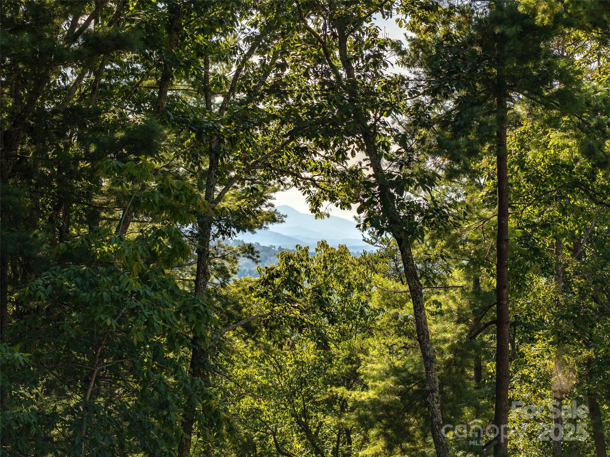 99999 Avondale Ridge Road Asheville, NC 28803 - Photo 2 of 15