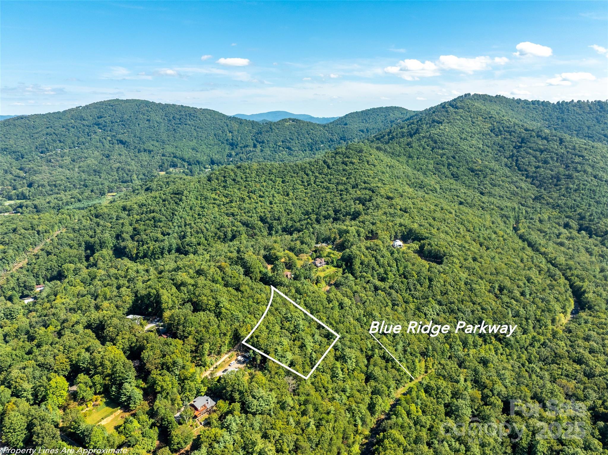 99999 Avondale Ridge Road Asheville, NC 28803 - Photo 3 of 15