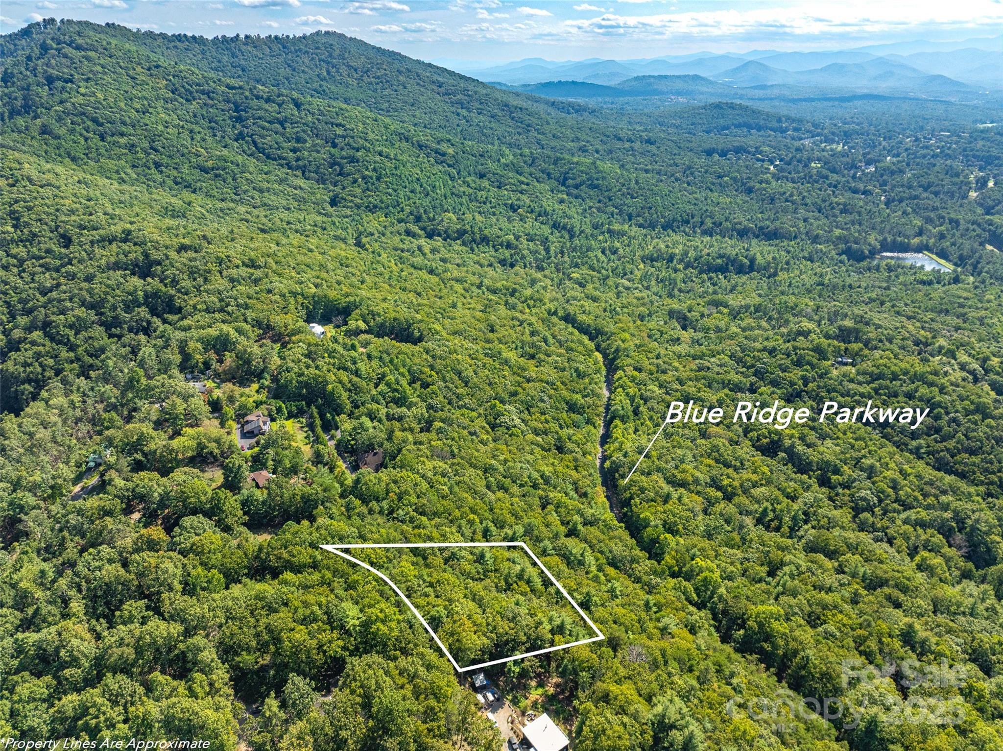 99999 Avondale Ridge Road Asheville, NC 28803 - Photo 4 of 15