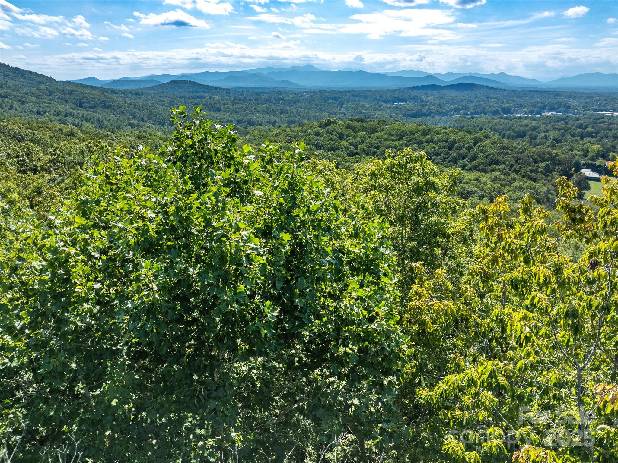 99999 Avondale Ridge Road Asheville, NC 28803 - Photo 5 of 15