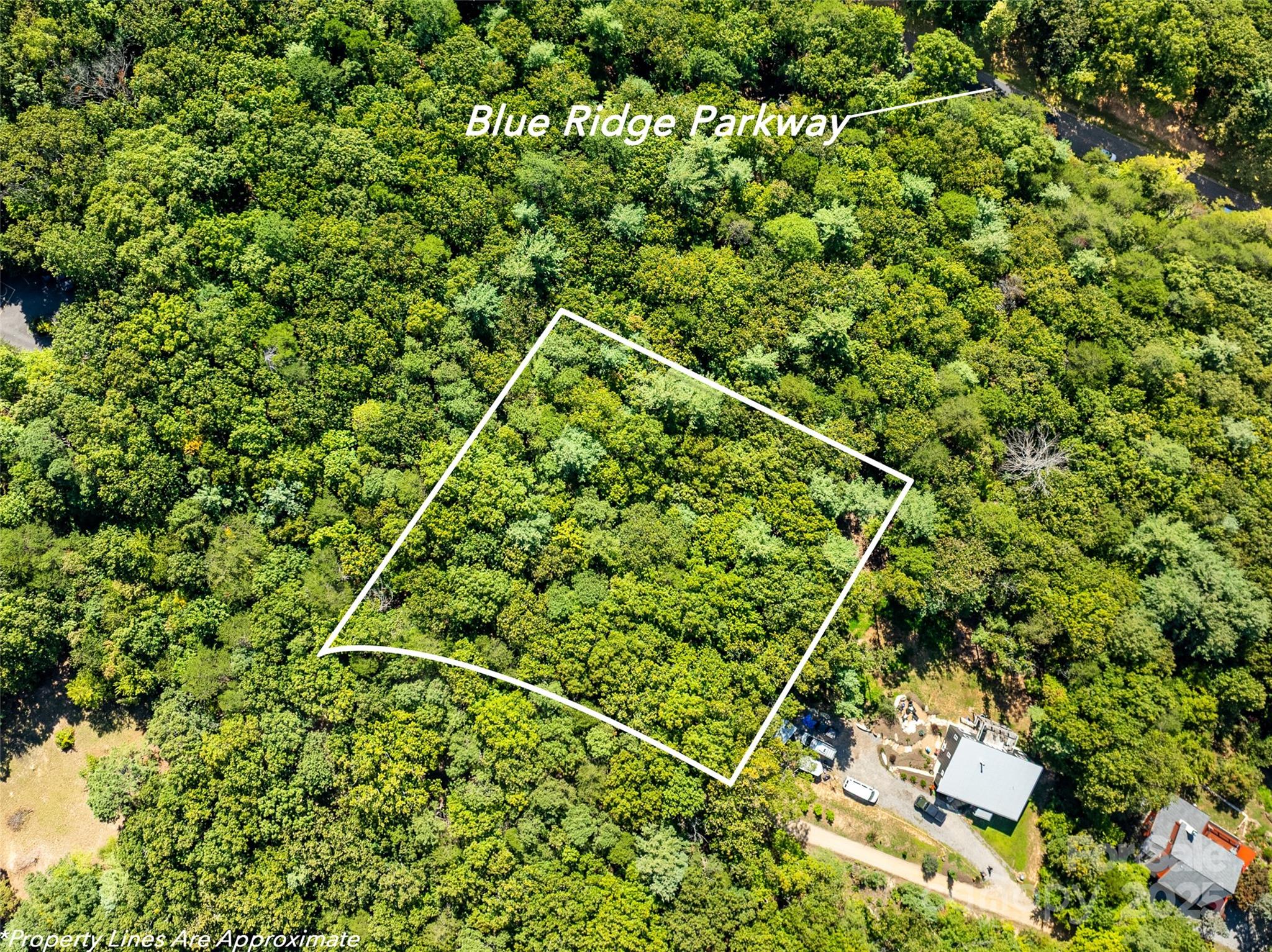 99999 Avondale Ridge Road Asheville, NC 28803 - Photo 6 of 15