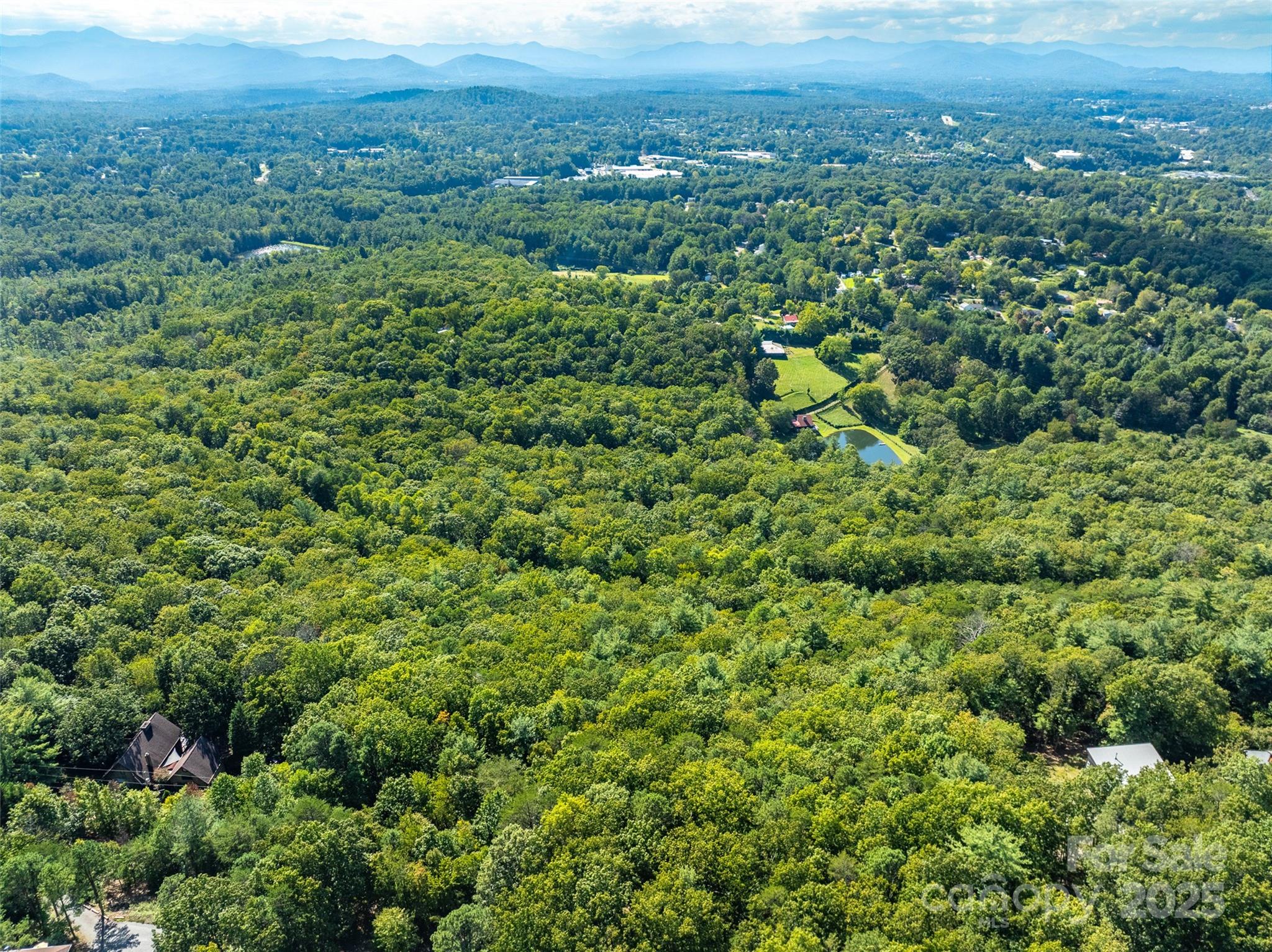 99999 Avondale Ridge Road Asheville, NC 28803 - Photo 7 of 15