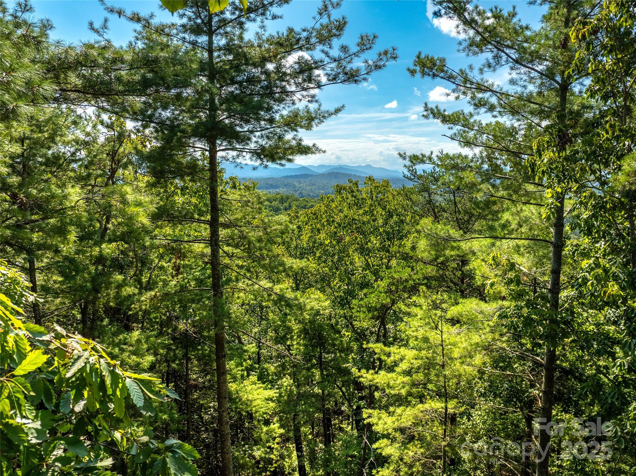 99999 Avondale Ridge Road Asheville, NC 28803 - Photo 8 of 15