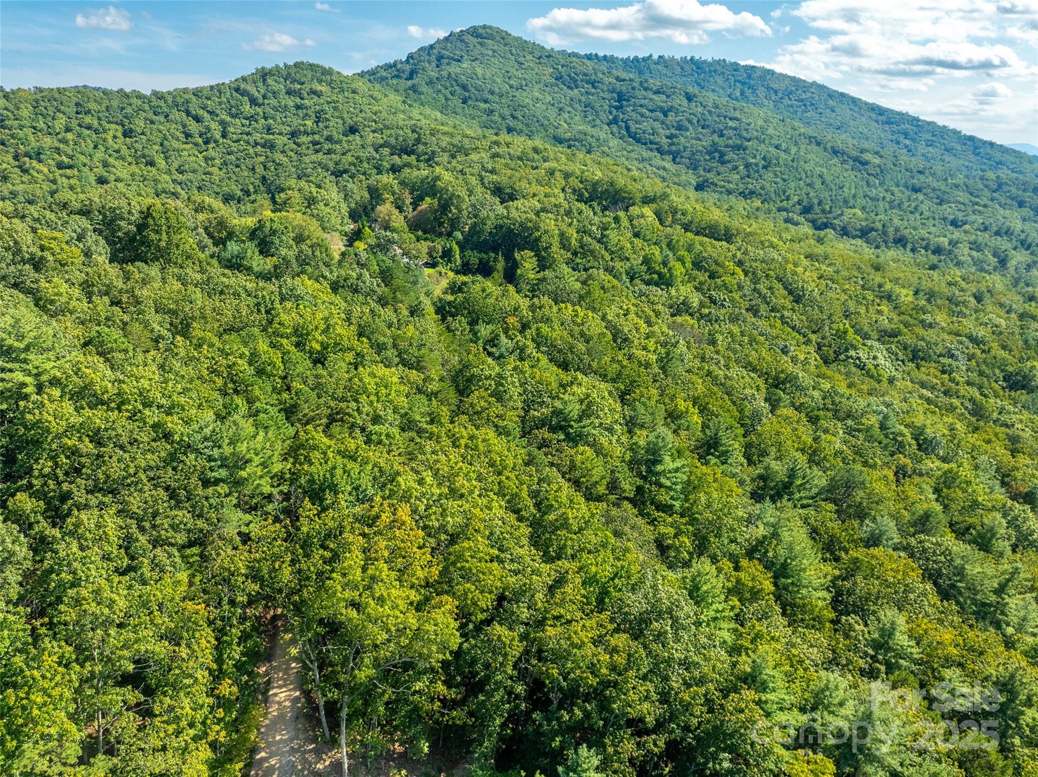 99999 Avondale Ridge Road Asheville, NC 28803 - Photo 9 of 15