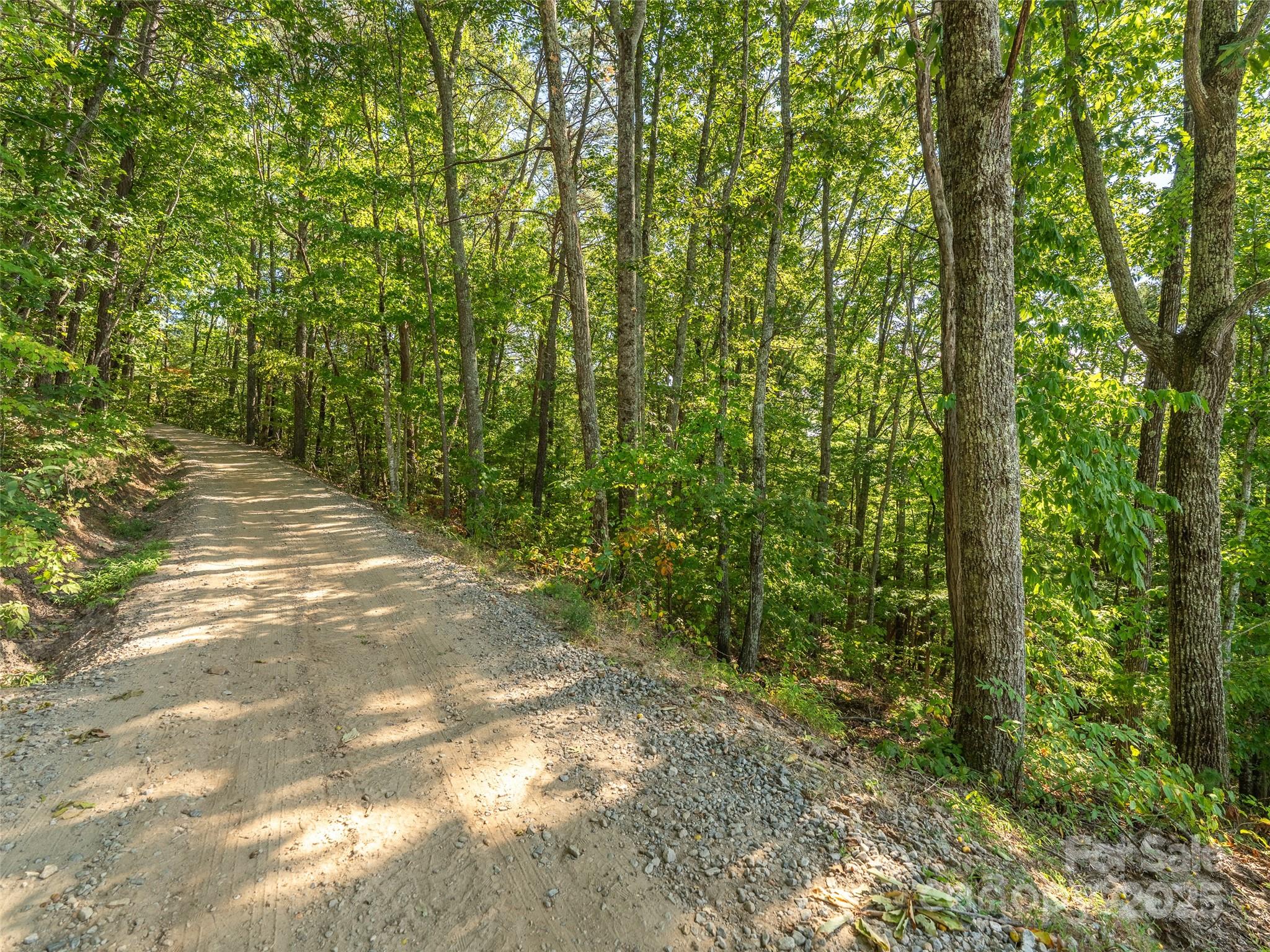 99999 Avondale Ridge Road Asheville, NC 28803 - Photo 10 of 15