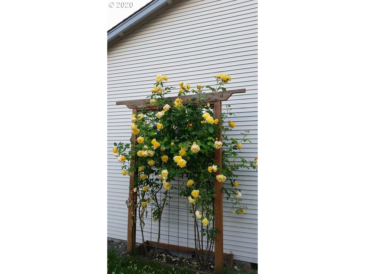 1150 Southwest Hensley Road Troutdale, OR 97060 - Photo 25 of 29 Gallery Image 25