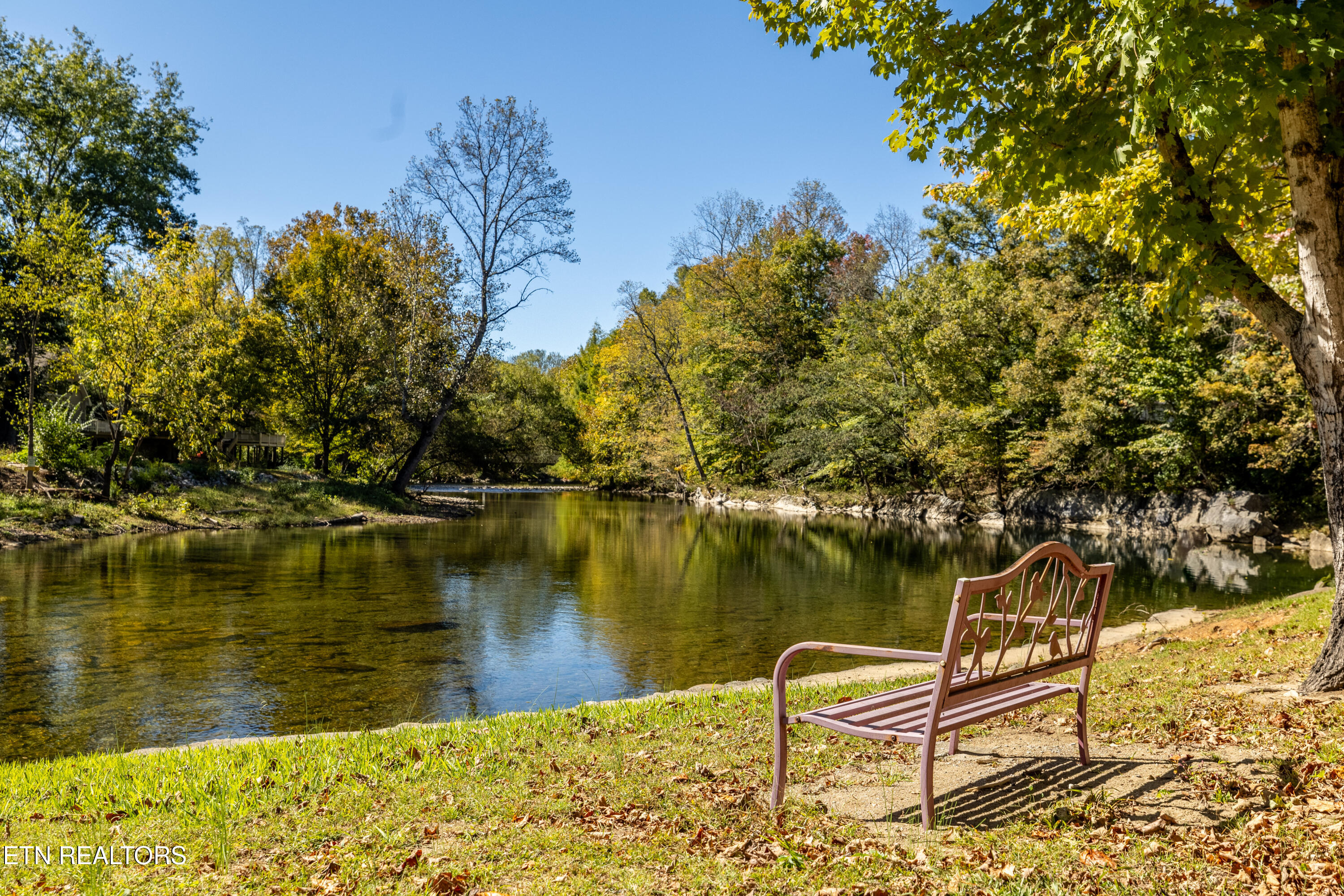 G2-g3 Carnes Road Townsend, TN 37882 - Photo 43 of 47 GaryLane-44
