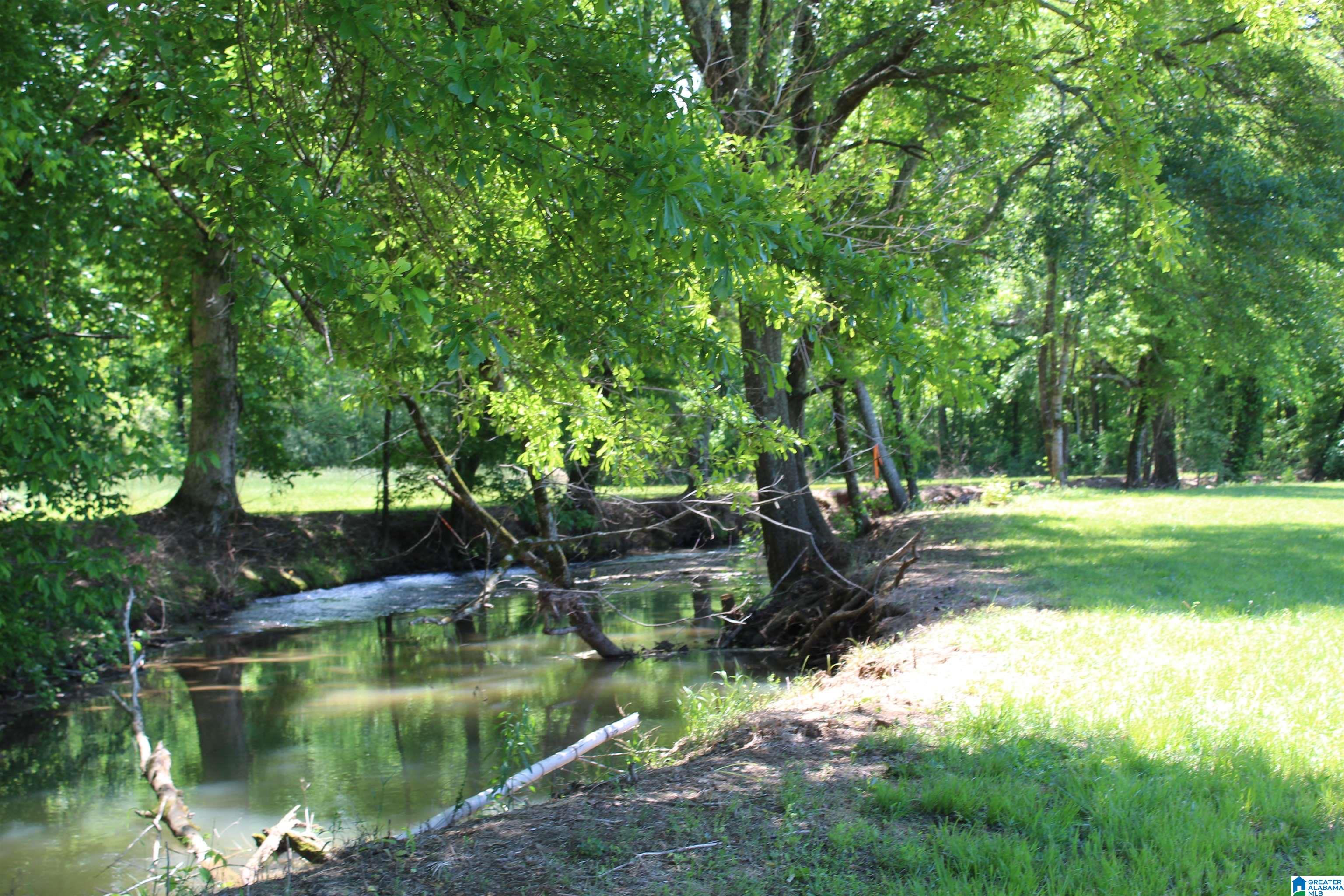 1680 Highway 174 Springville, AL 35146 - Photo 8 of 97