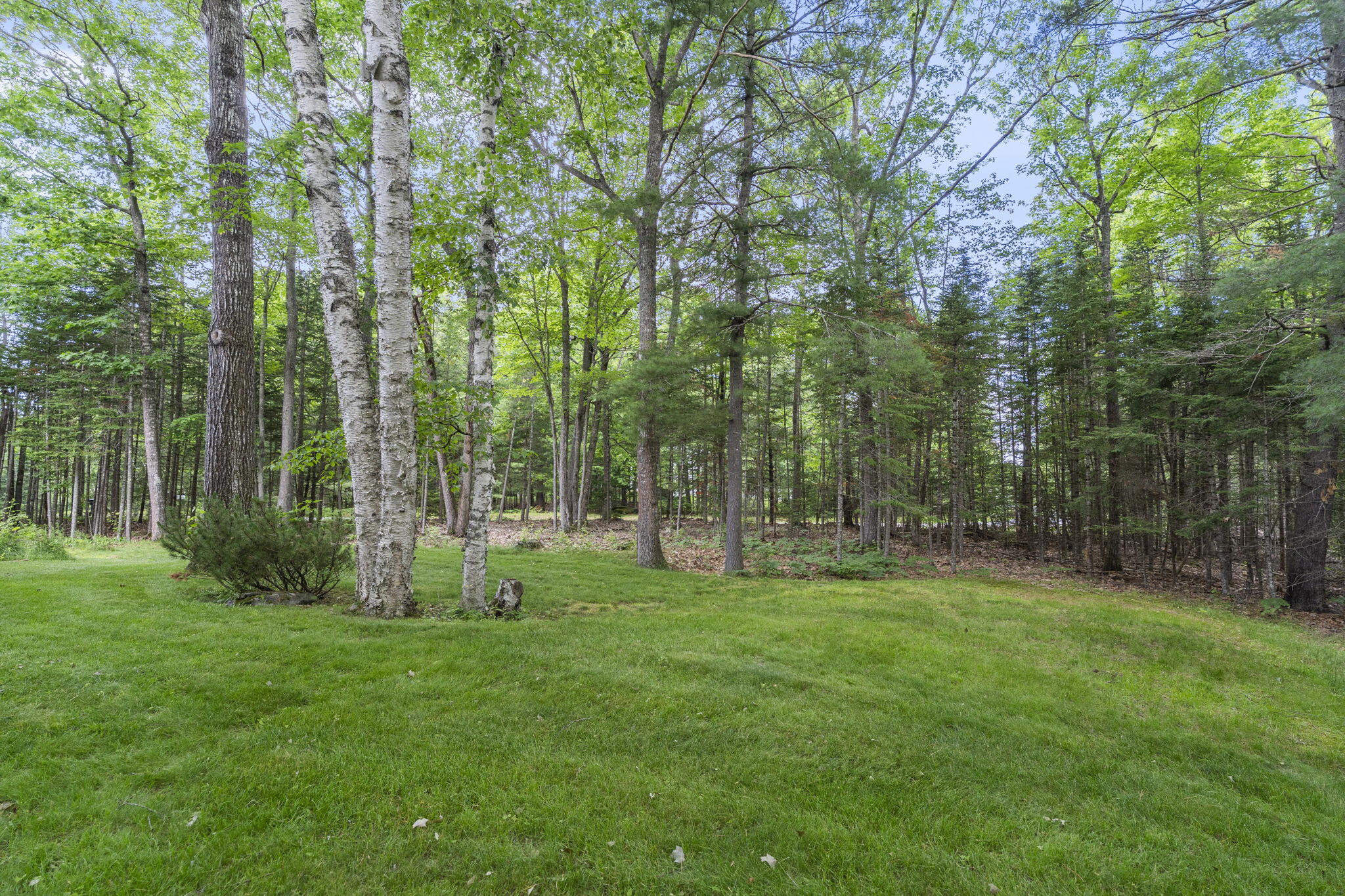 121 Eaton Ridge Drive Holden, ME 04429 - Photo 9 of 70 56-web-or-mls-DSC08993