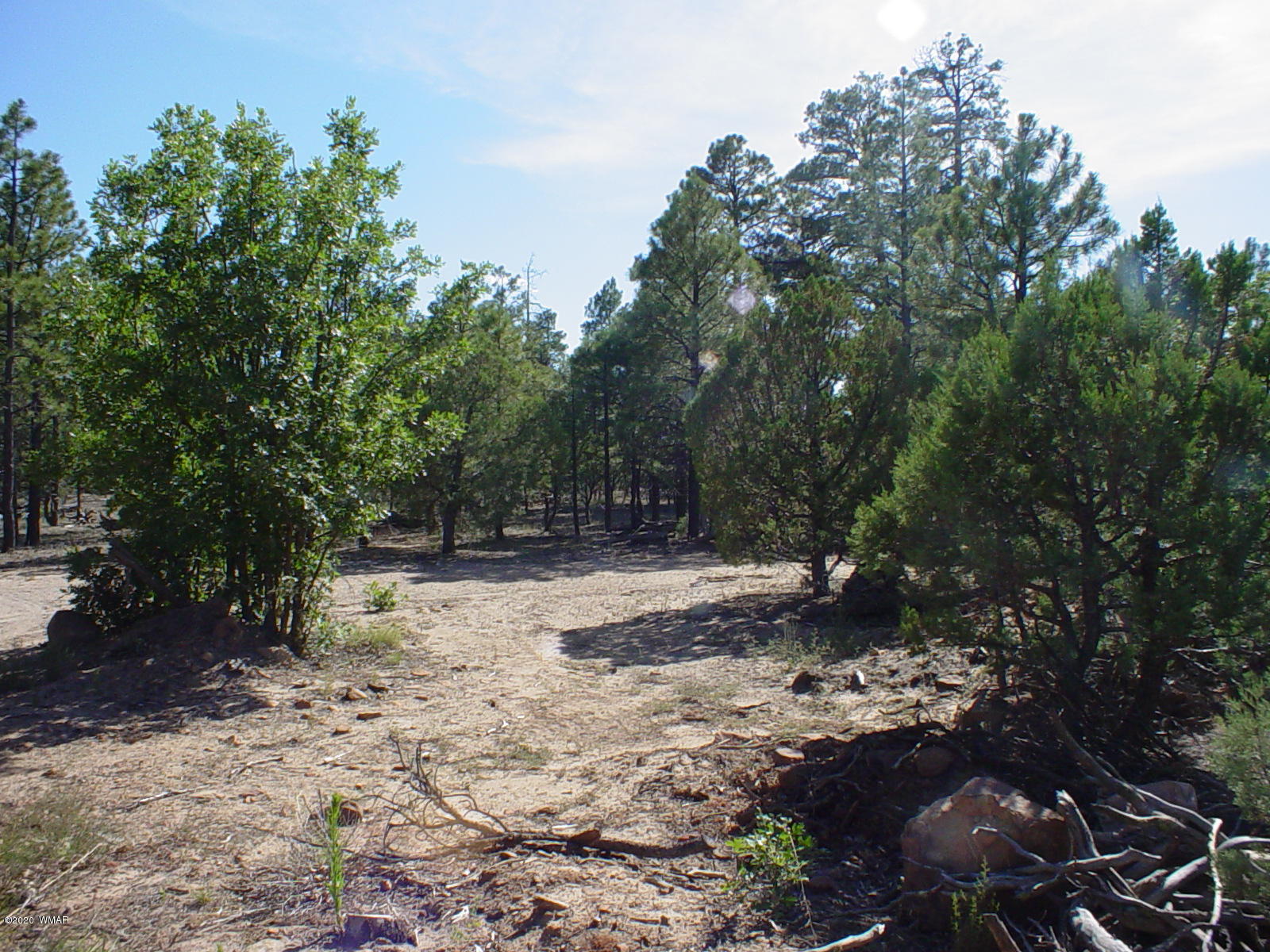 Tbd Tbd Majestic Elk ''lot 2'' Road Overgaard, AZ 85933 - Photo 2 of 4