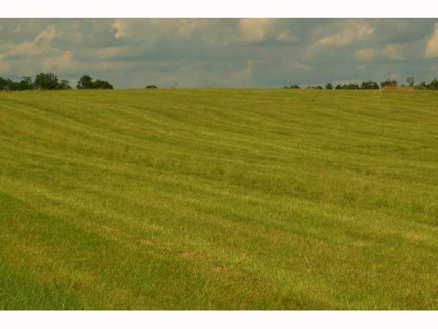 0 Township Road Zanesfield, OH 43360 - Photo 2 of 2