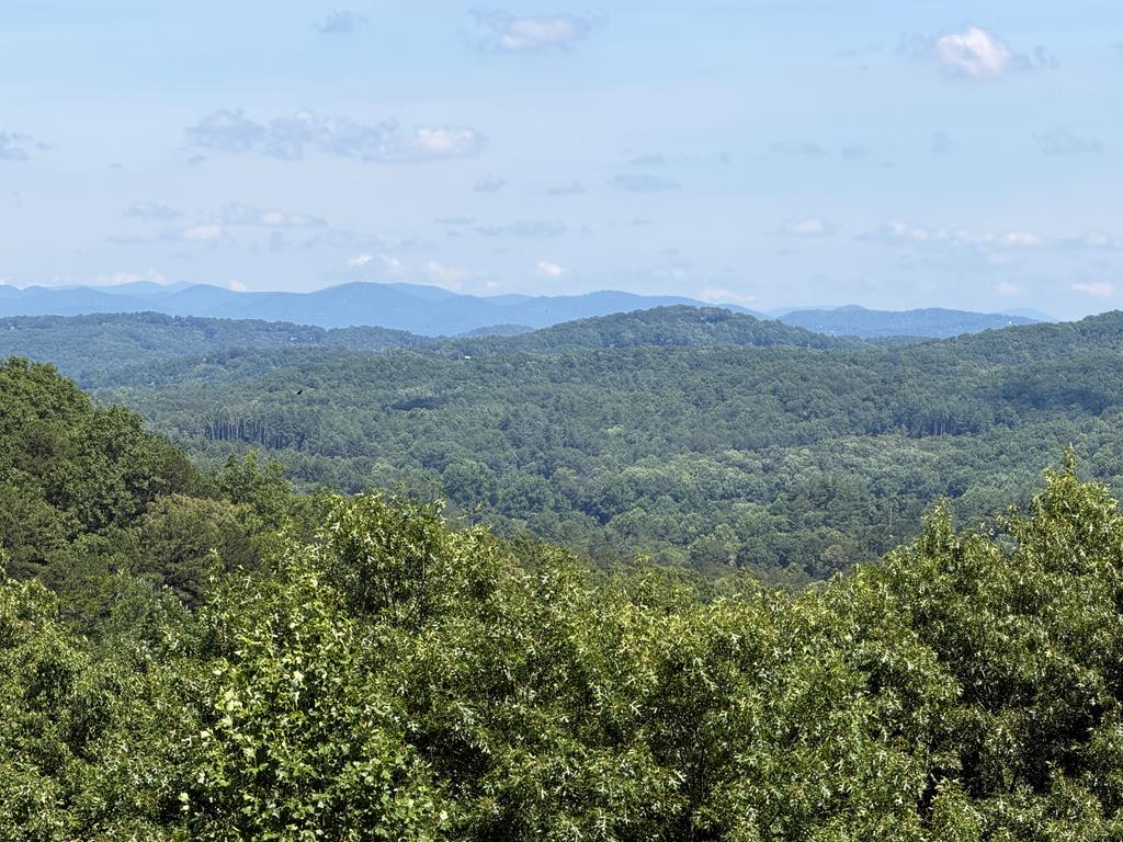 81 Sundance Ridge Epworth, GA 30541 - Photo 73 of 102 Layer upon Layer of Mountains