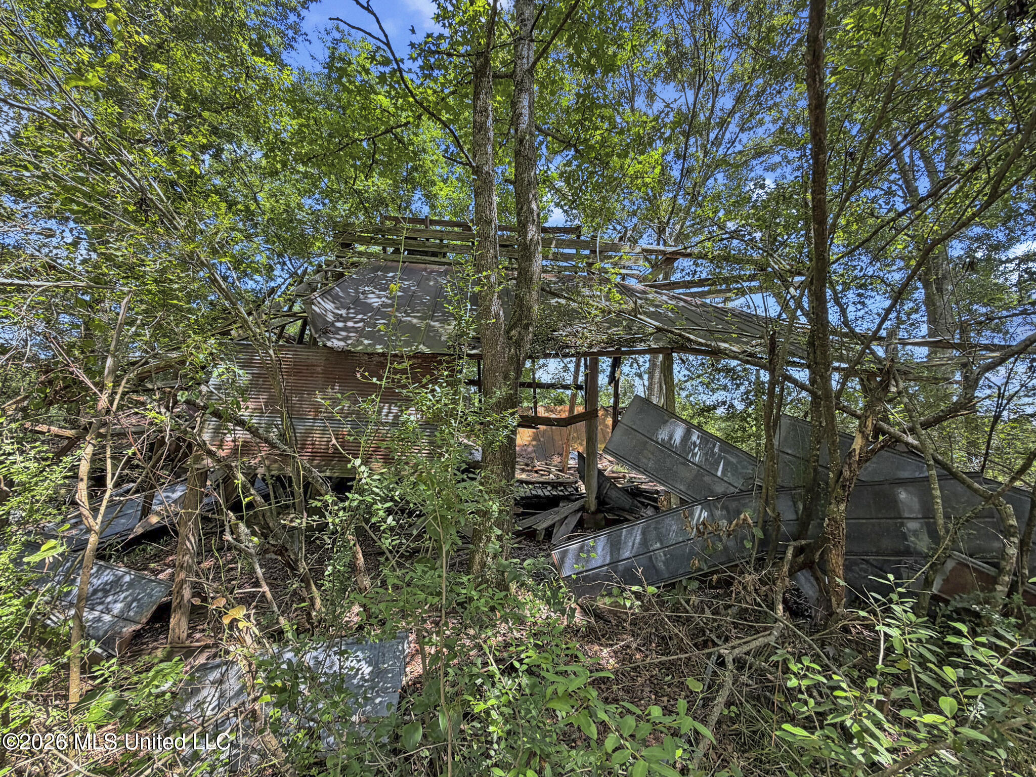 13 Co Road Louin, MS 39338 - Photo 10 of 29 IMG_3449
