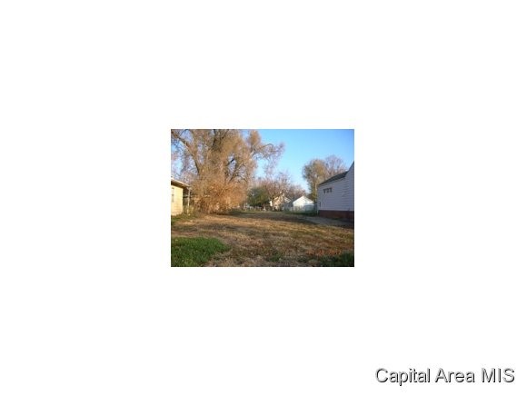 2304 South 11th Street Springfield, IL 62703 - Photo 1 of 1