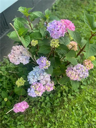 $247,500 | 152 Fay Lane, Manlius, NY 13116