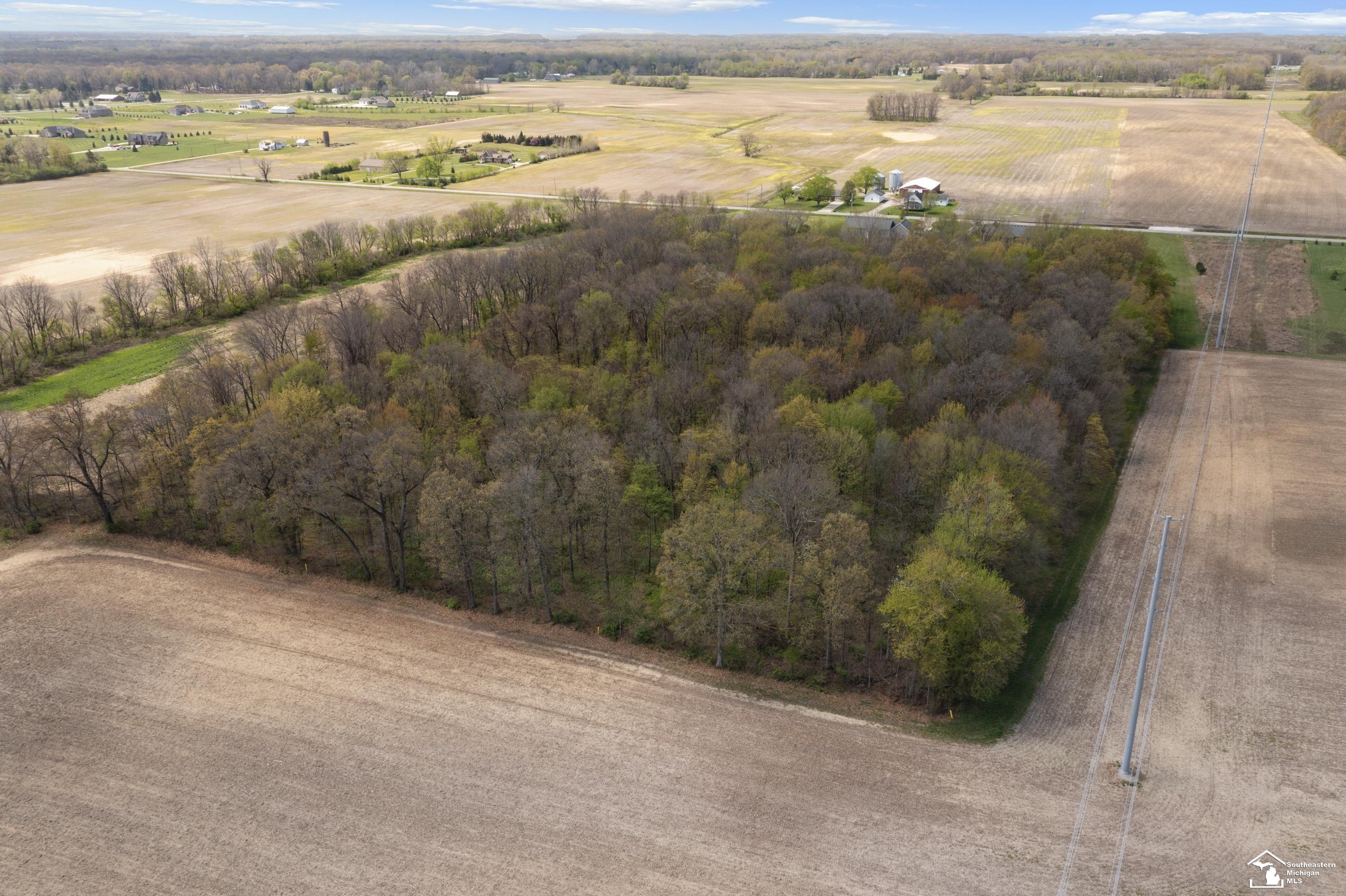 10260 Jackman Road Temperance, MI 48182 - Photo 53 of 56