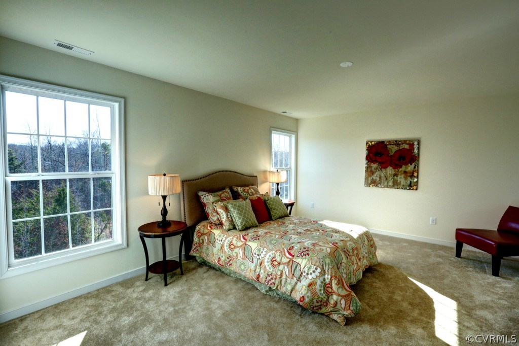 5203 Penick Road Henrico, VA 23228 - Photo 16 of 21 Gallery Image 16