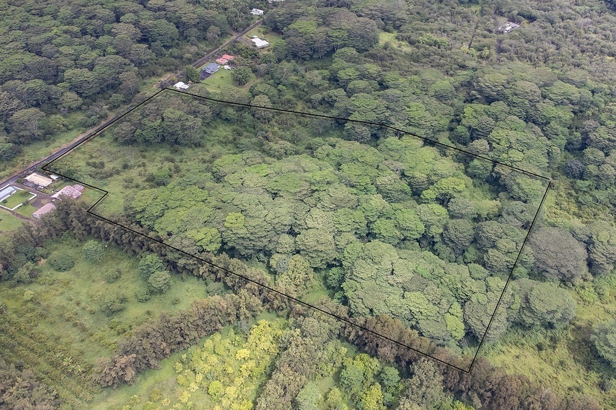 a view of a dry yard with green space