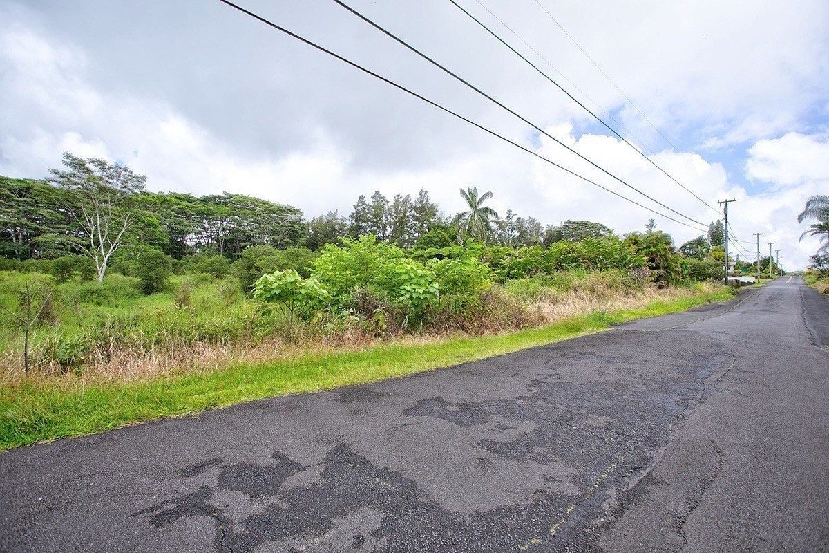 25 C Kukui Camp Road Kurtistown, HI 96760 - Photo 5 of 9 a view of a big yard with potted plants