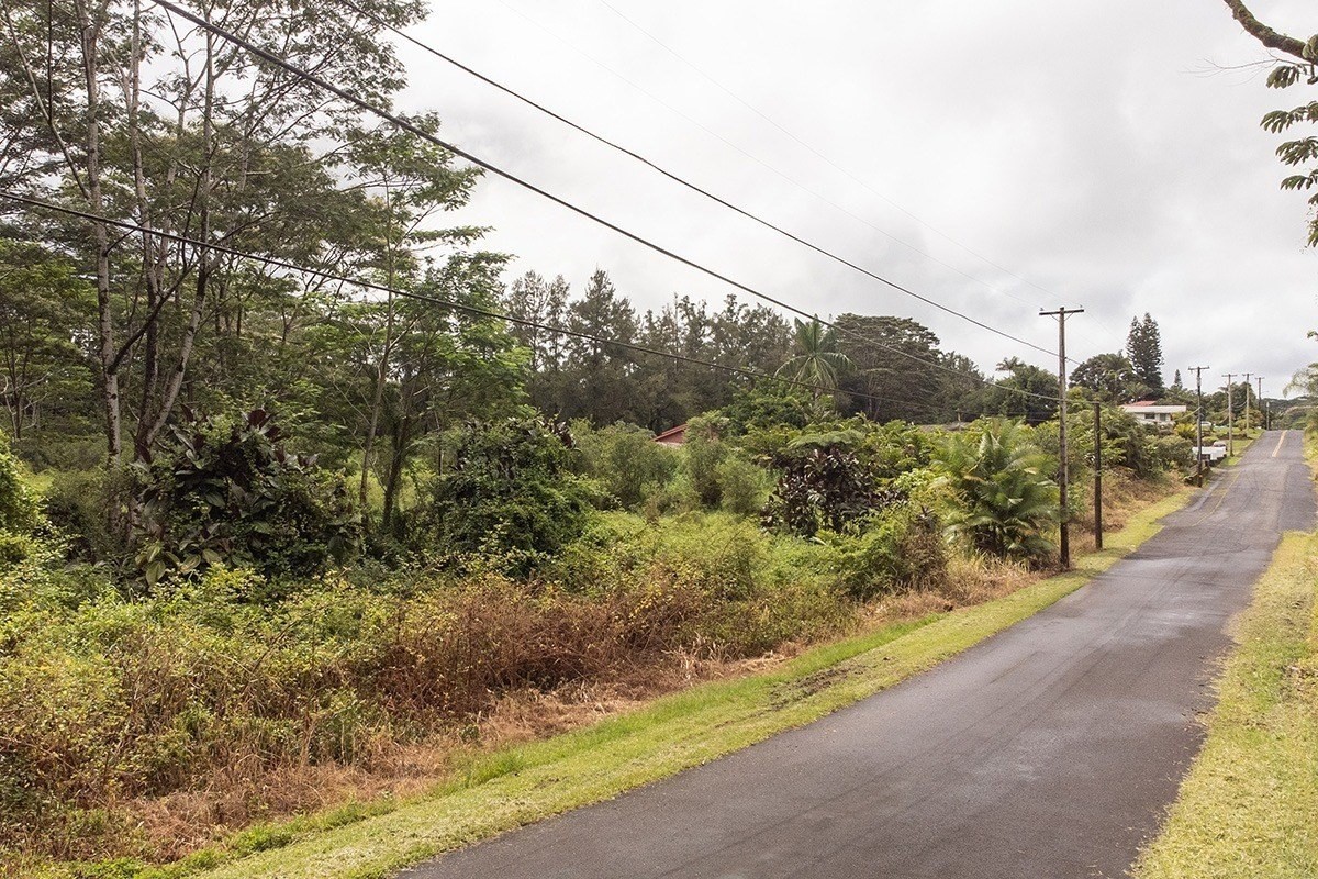 25 C Kukui Camp Road Kurtistown, HI 96760 - Photo 6 of 9 a view of a road with a yard