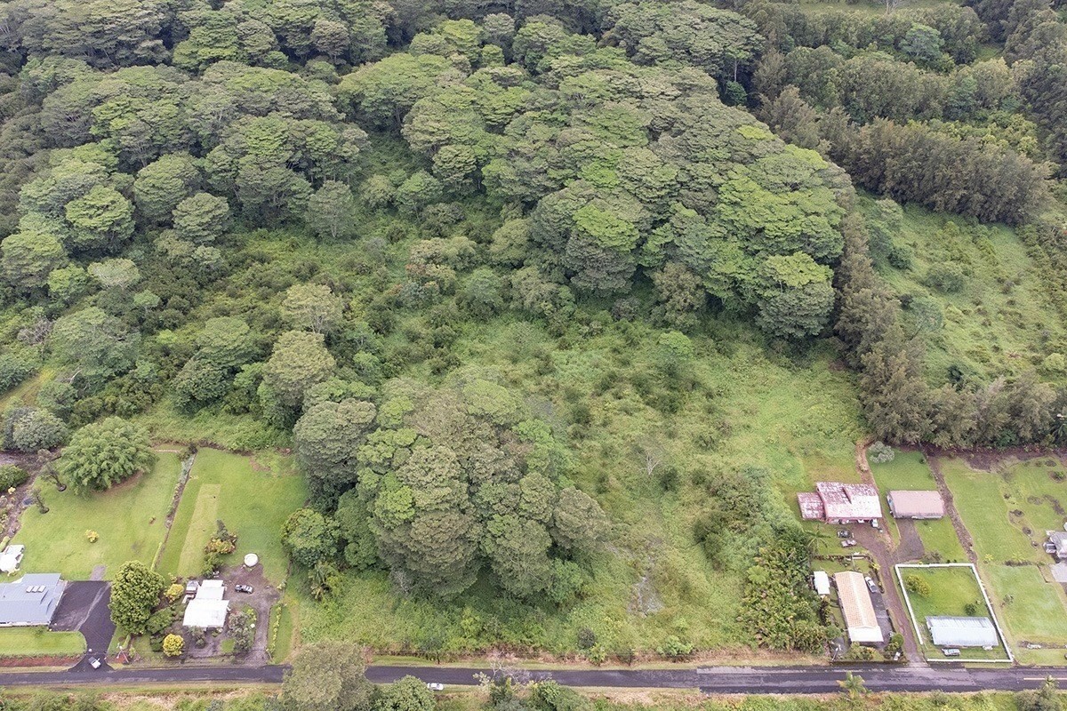 25 C Kukui Camp Road Kurtistown, HI 96760 - Photo 7 of 9 a view of a pathway